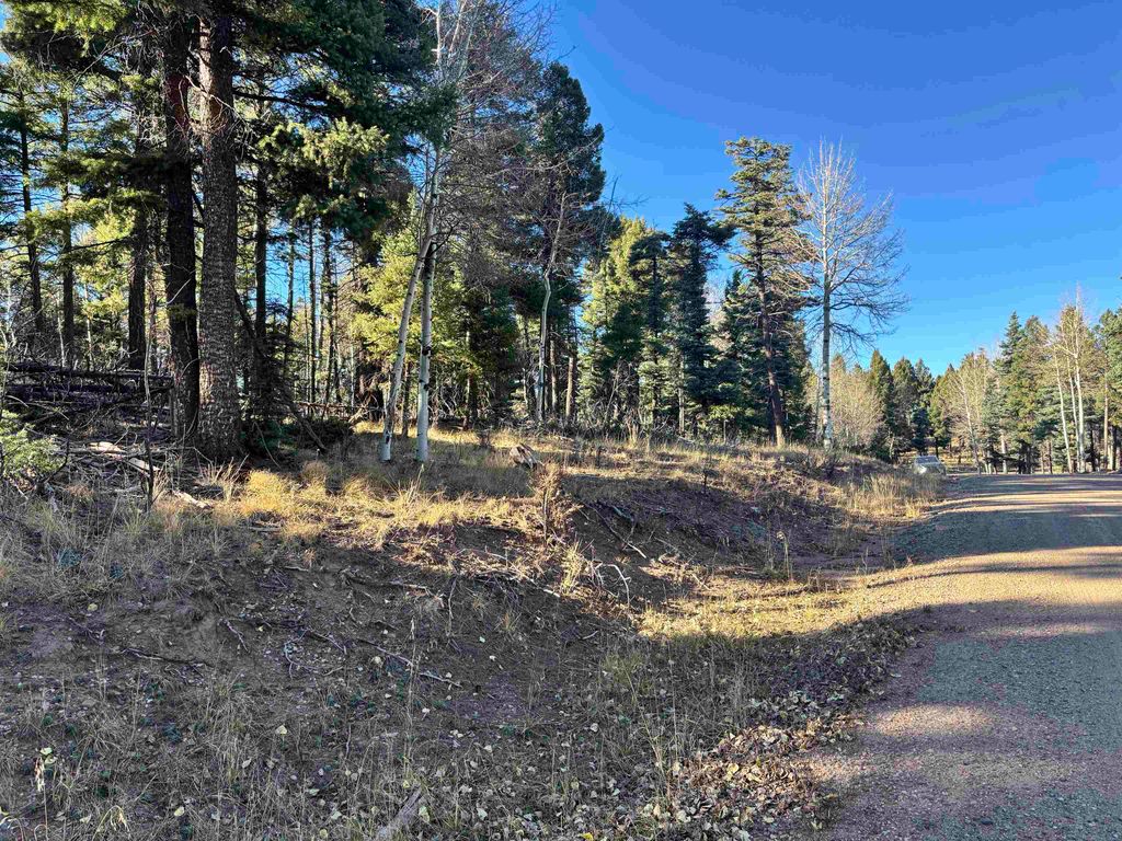 Photo of Lot 302 Vail Overlook, Angel Fire, NM 87710 (MLS # 104753)