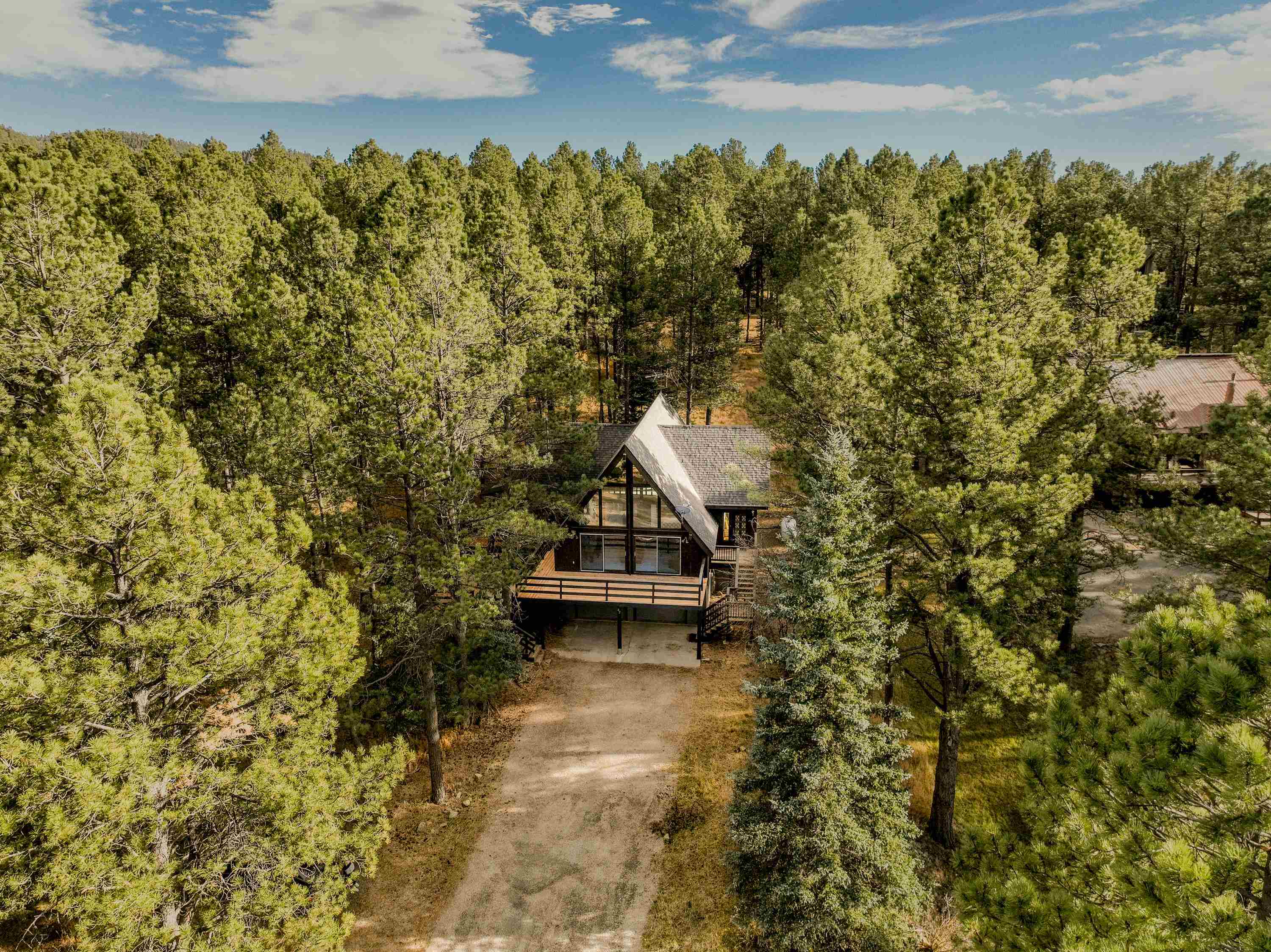 Angel Fire, New Mexico 87710, United States, 3 Bedrooms Bedrooms, ,2 BathroomsBathrooms,Residential,Active,233452