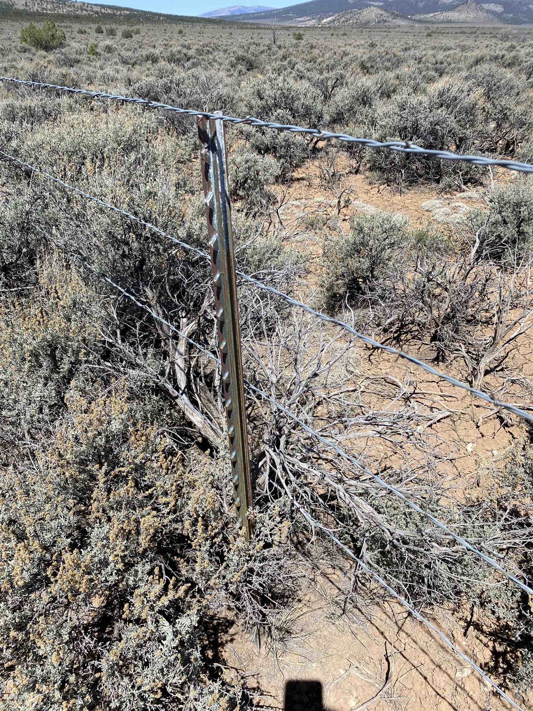 Off Cerro Montoso Rd Eagle Ridge Subdivision, Tres Piedras, New Mexico image 18