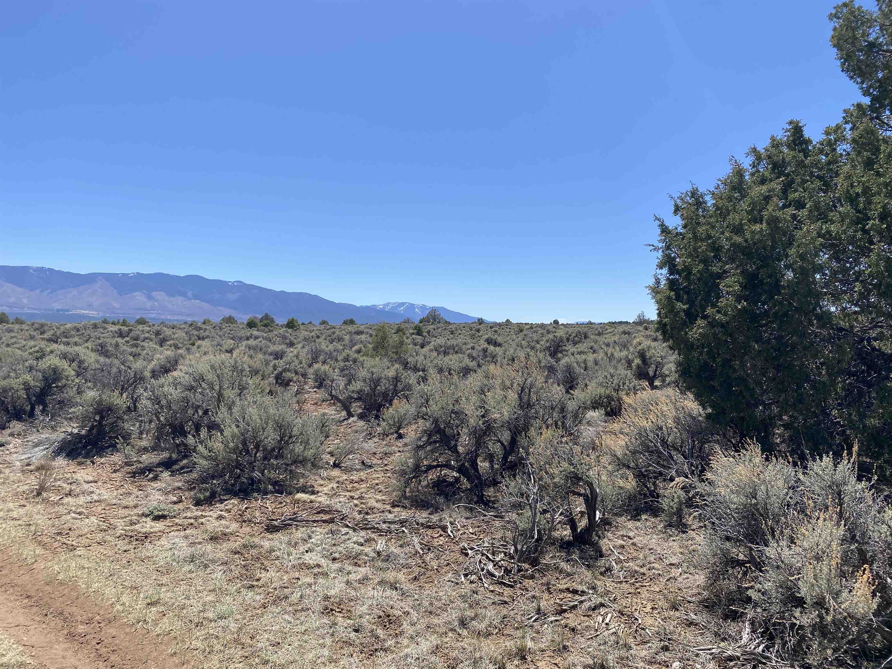 Off Cerro Montoso Rd Eagle Ridge Subdivision, Tres Piedras, New Mexico image 17