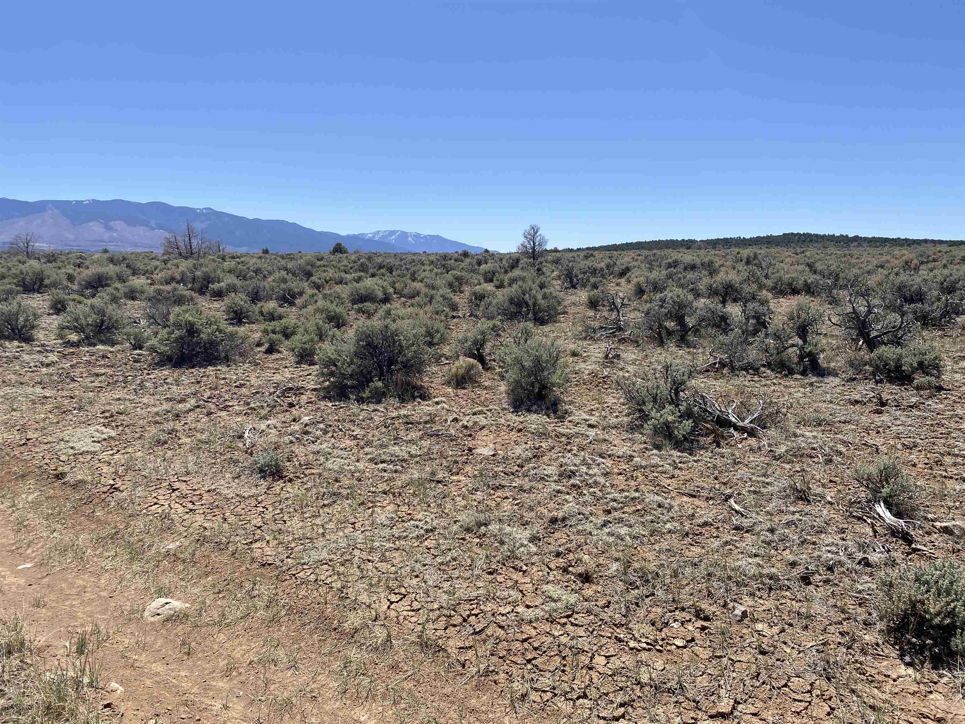 Off Cerro Montoso Rd Eagle Ridge Subdivision, Tres Piedras, New Mexico image 9