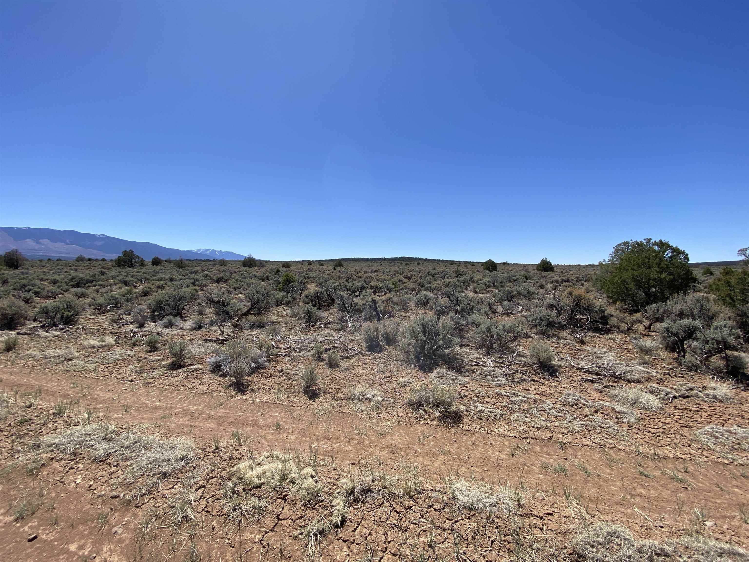 Off Cerro Montoso Rd Eagle Ridge Subdivision, Tres Piedras, New Mexico image 14