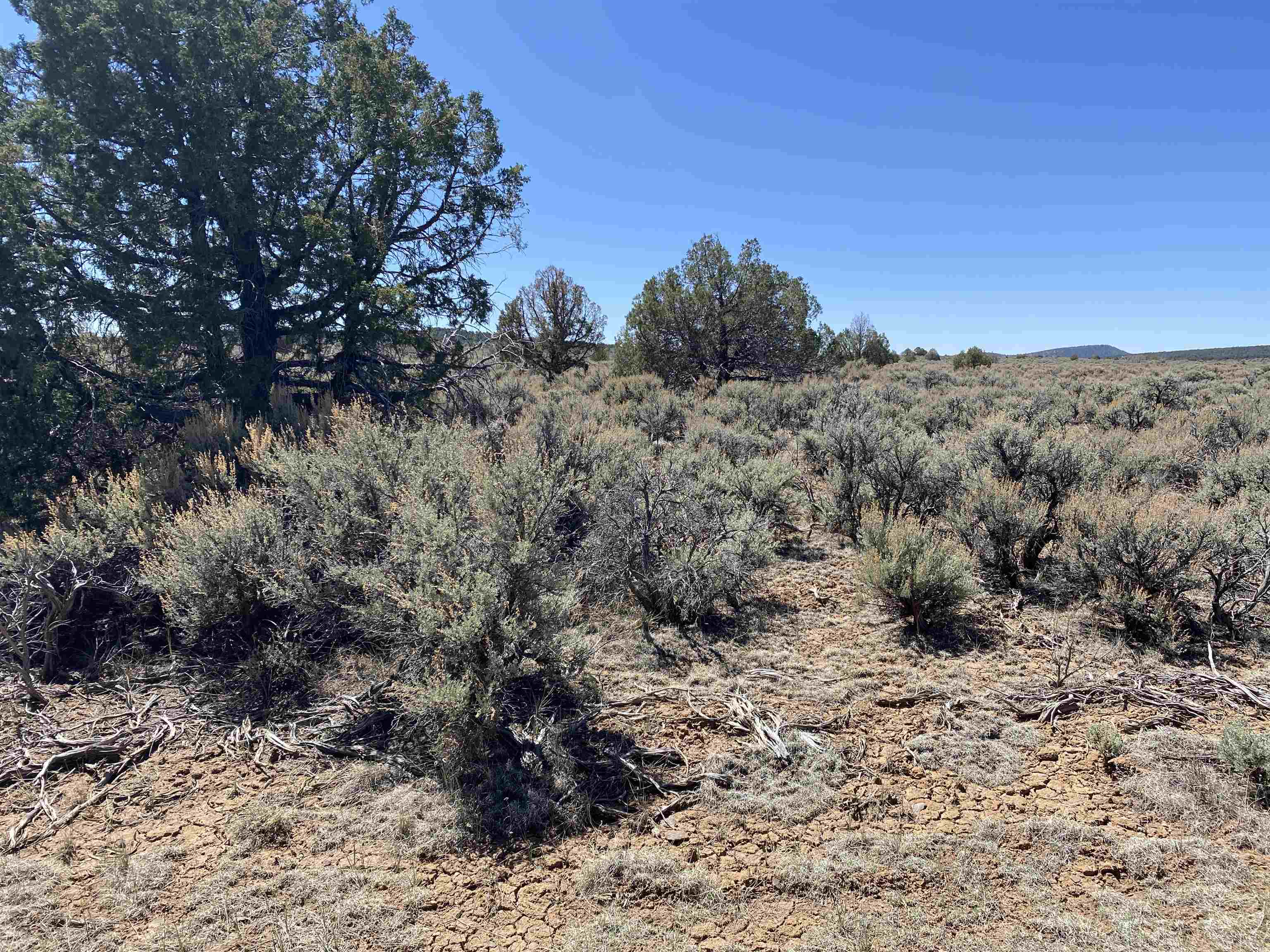 Off Cerro Montoso Rd Eagle Ridge Subdivision, Tres Piedras, New Mexico image 16