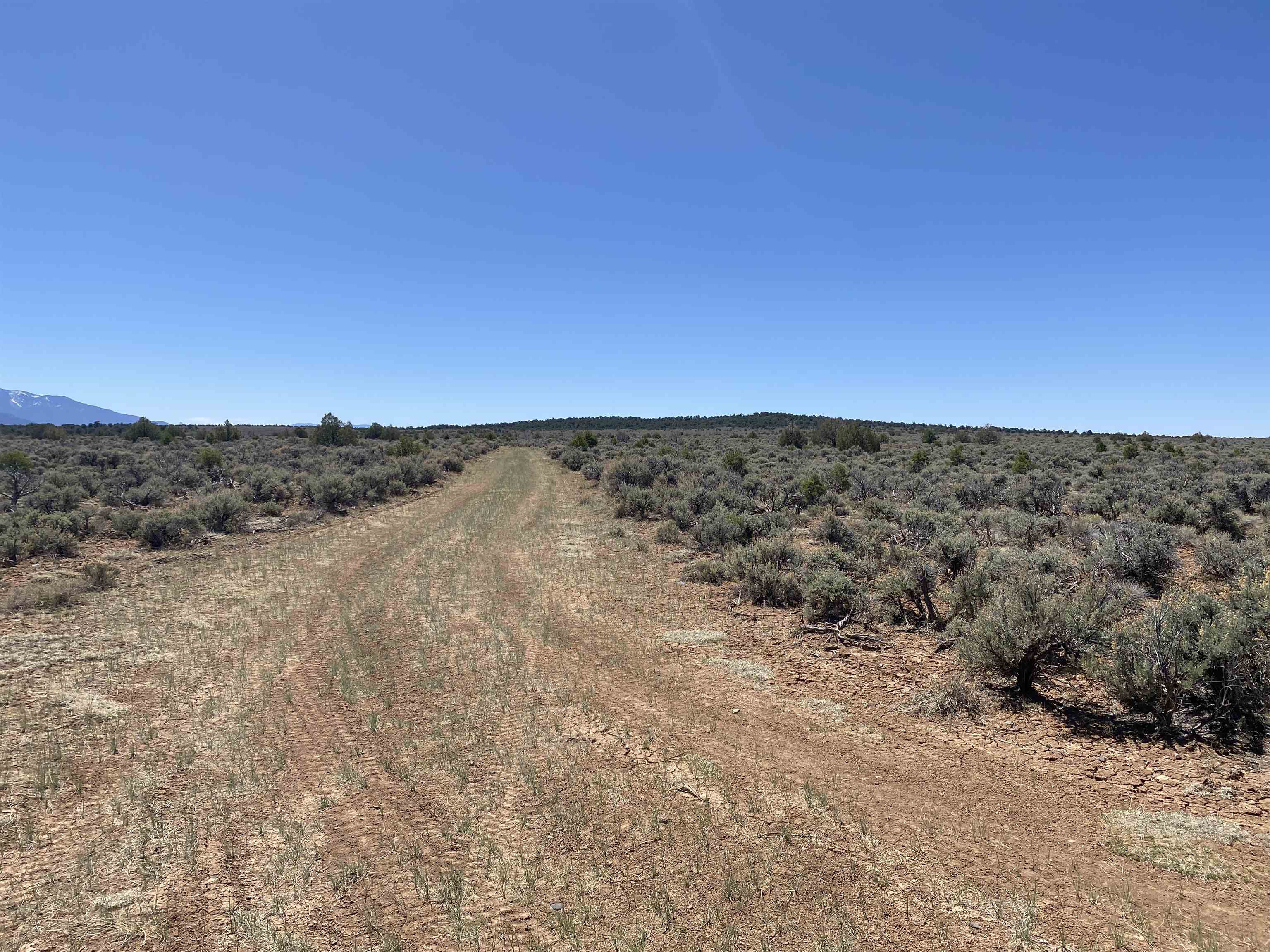 Off Cerro Montoso Rd Eagle Ridge Subdivision, Tres Piedras, New Mexico image 20