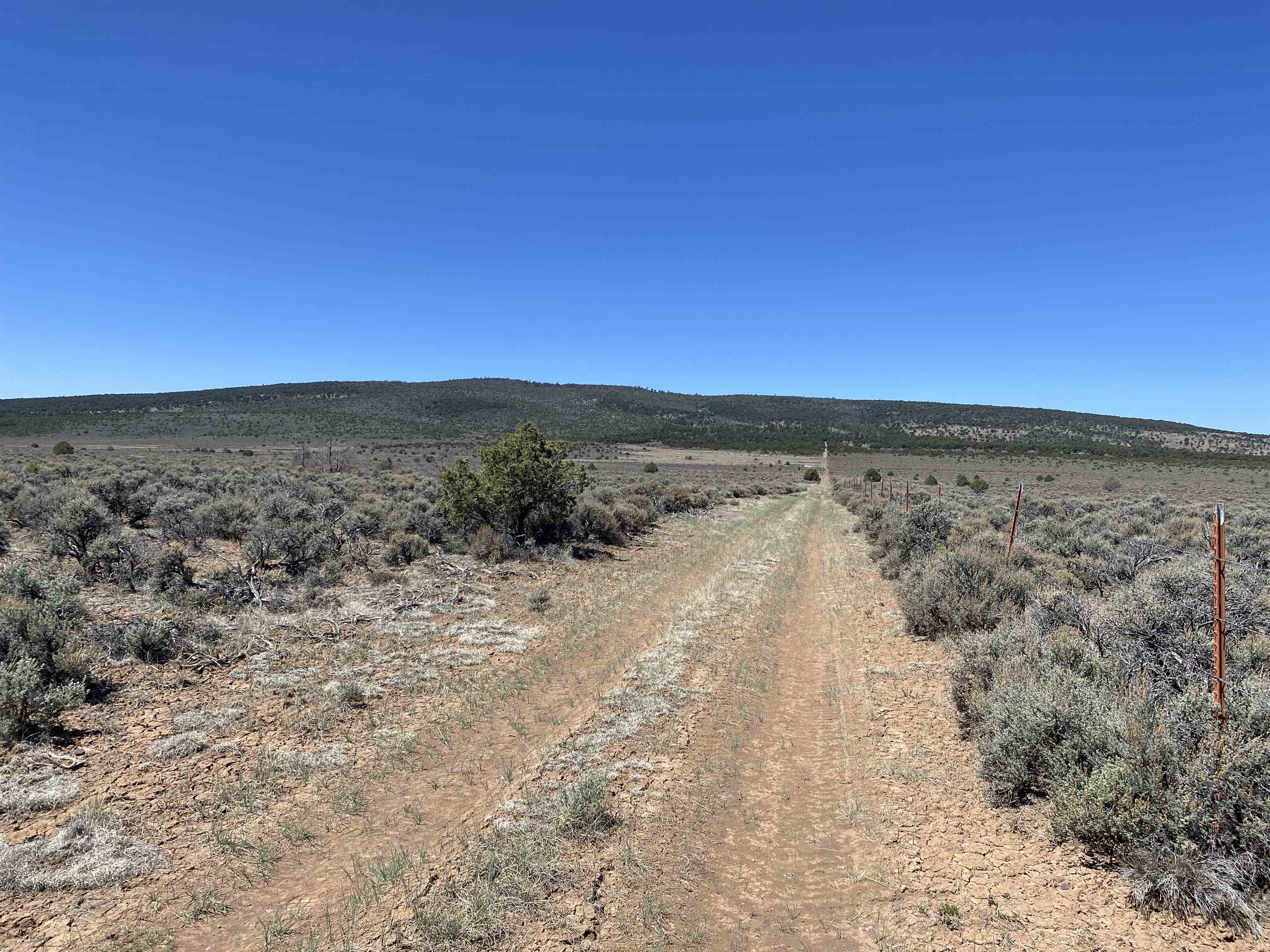 Off Cerro Montoso Rd Eagle Ridge Subdivision, Tres Piedras, New Mexico image 10