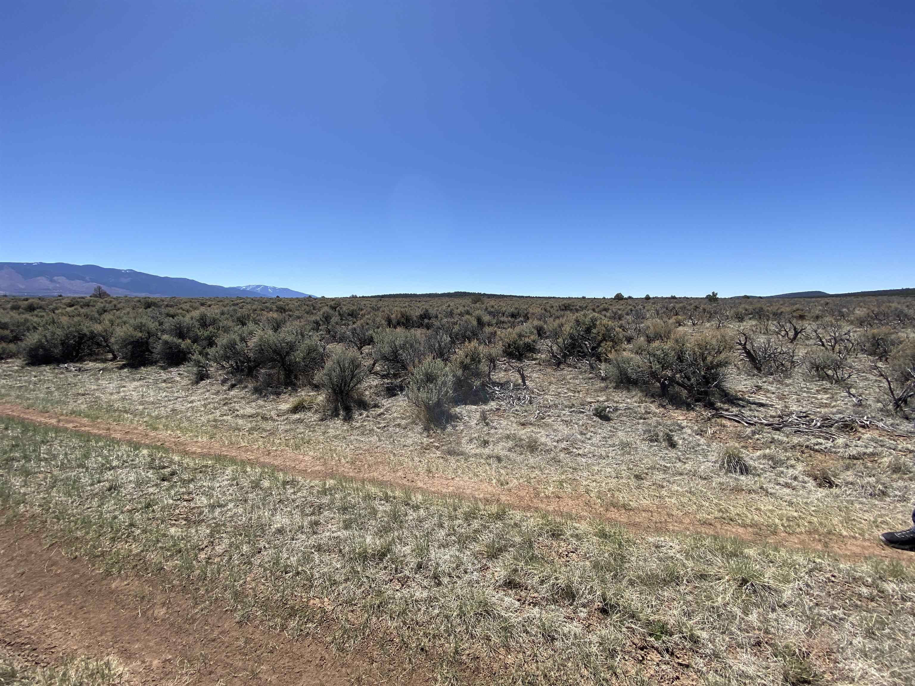 Off Cerro Montoso Rd Eagle Ridge Subdivision, Tres Piedras, New Mexico image 8