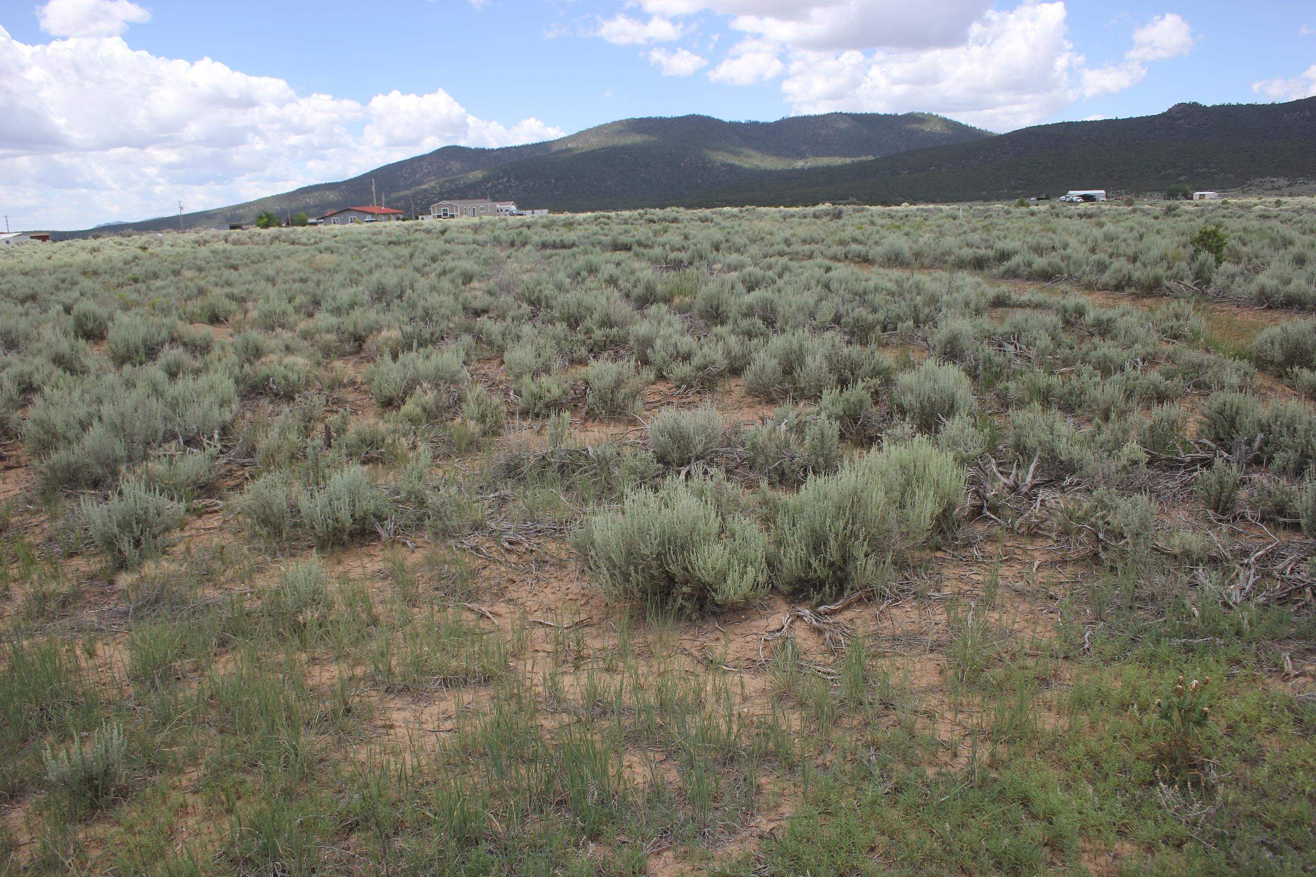 Lot A Shirley Drive, Questa, New Mexico image 1