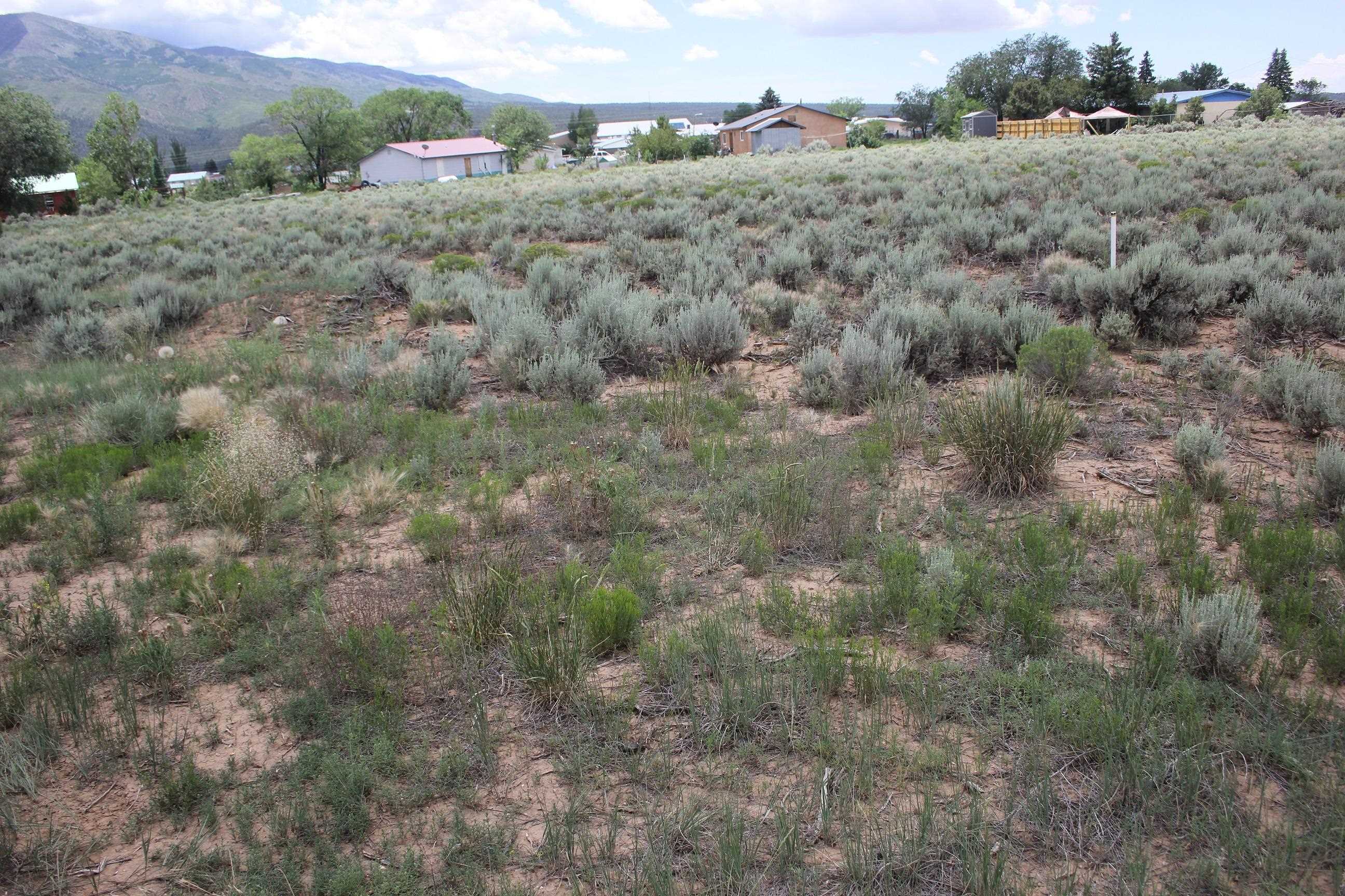 Lot A Shirley Drive, Questa, New Mexico image 2