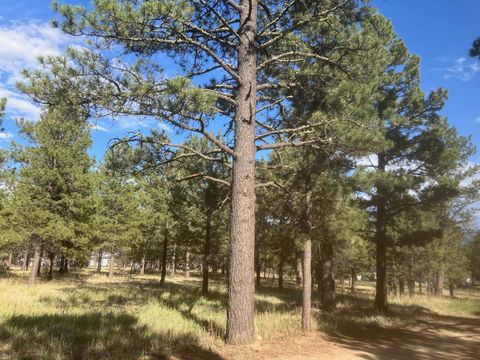 Vacant Land For Sale - LOT 7 Pine Top Lane<br/> Colfax County, Angel Fire, NM 87710