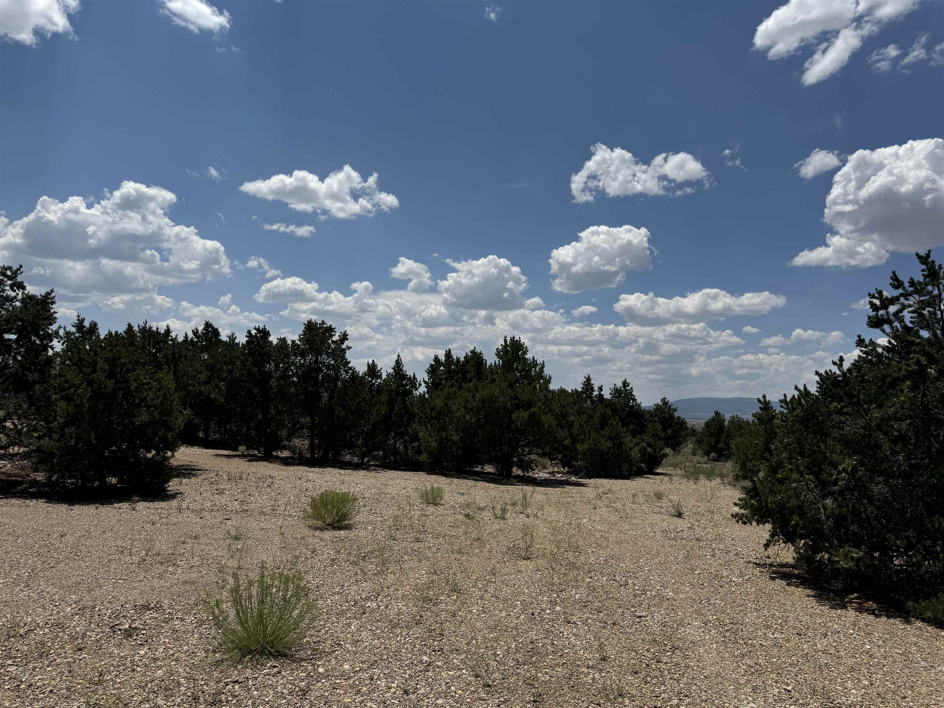 11 Windmill, Questa, New Mexico image 11