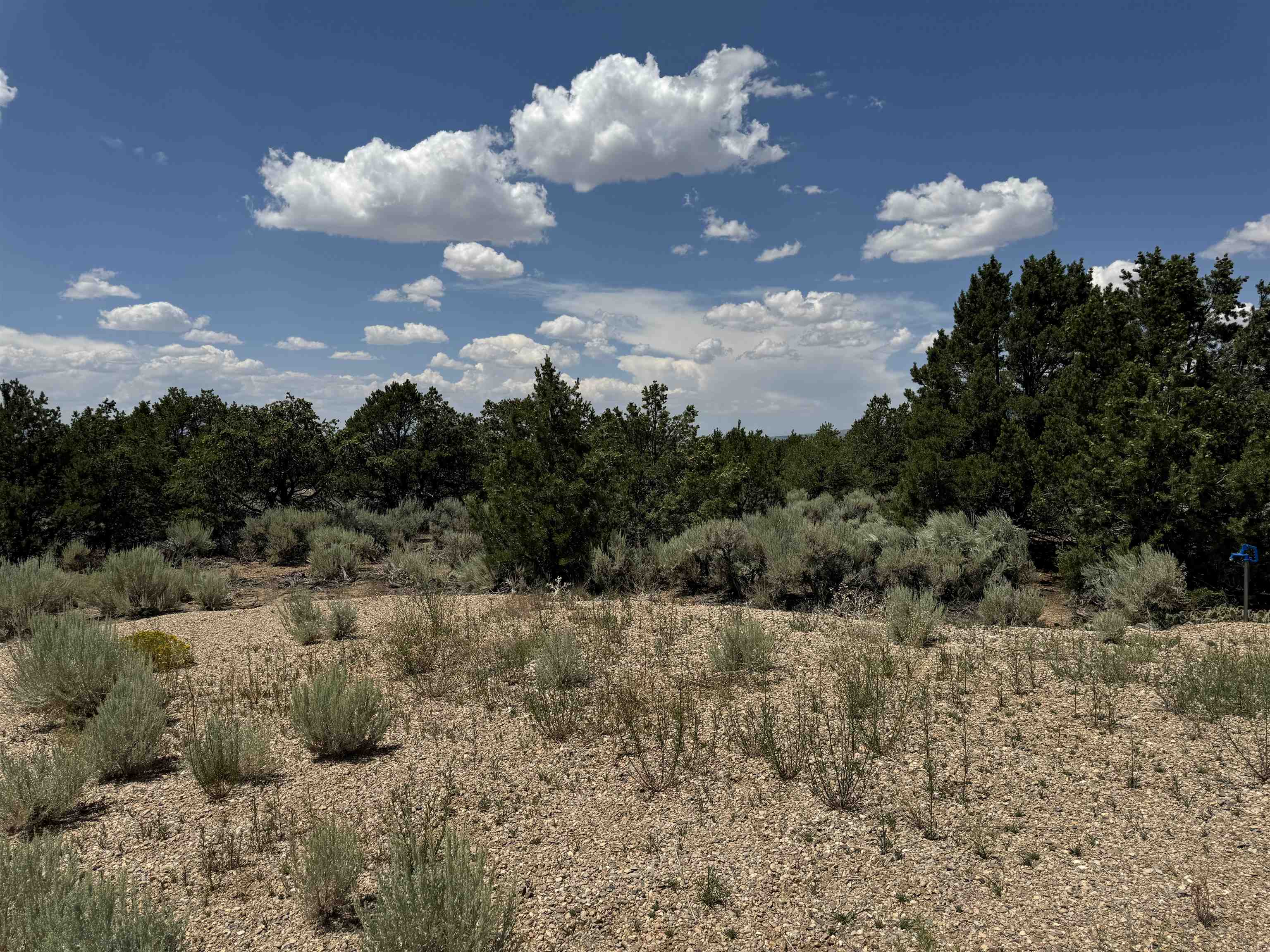 11 Windmill, Questa, New Mexico image 7