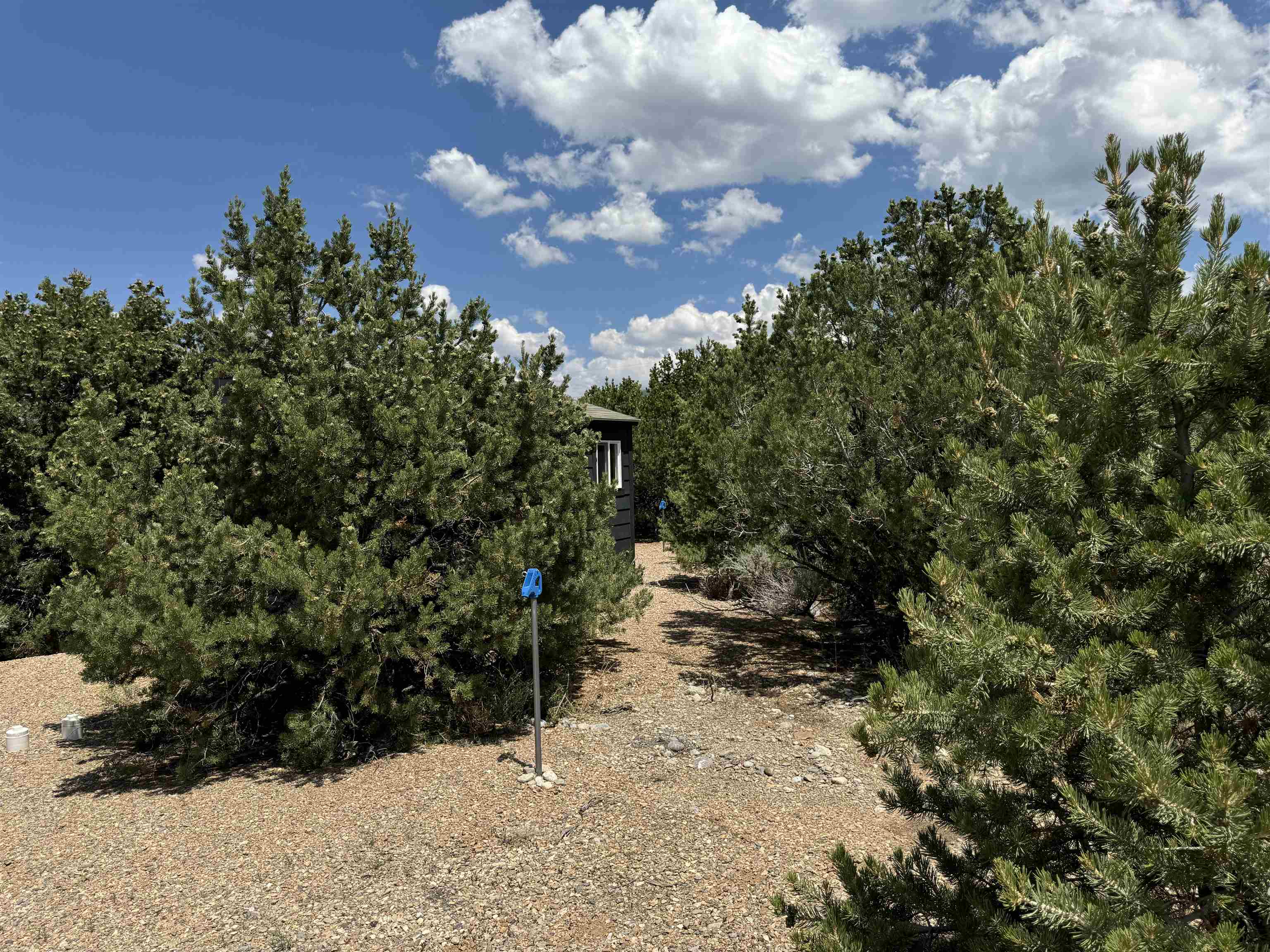 11 Windmill, Questa, New Mexico image 4