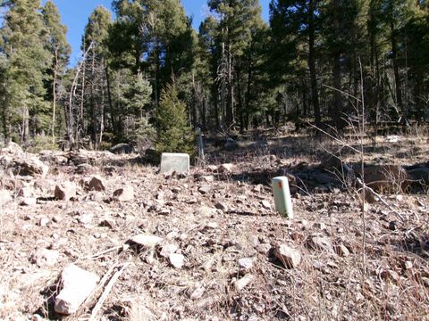 Vacant Land For Sale - 1119 El Camino Real Lot 1119 Nm<br/> Angel Fire, NM 87710