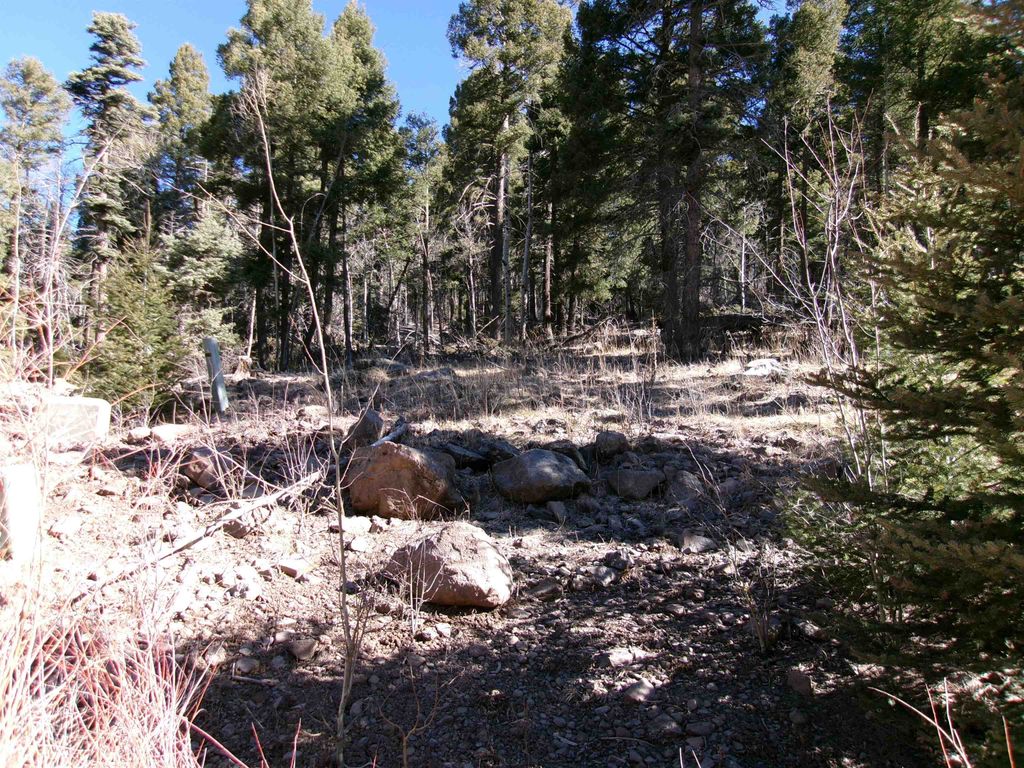 Photo of 1119 El Camino Real Lot 1119 NM, Angel Fire, NM 87710 (MLS # 114660)