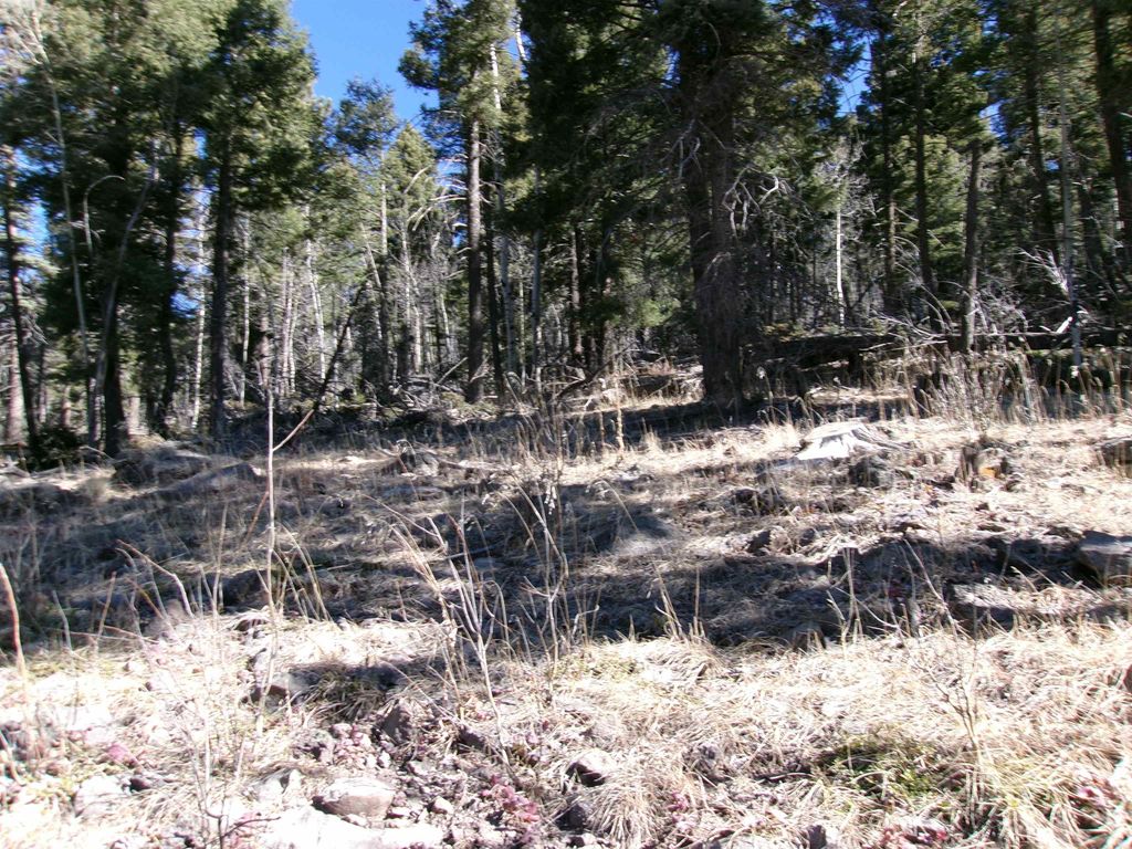 Photo of 1119 El Camino Real Lot 1119 NM, Angel Fire, NM 87710 (MLS # 114660)