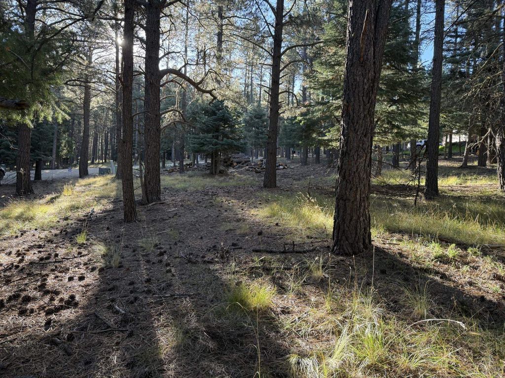 Photo of Lot 884 Las Palomas, Angel Fire, NM 87710 (MLS # 114094)