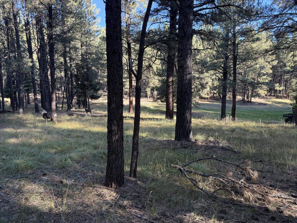 Photo of Lot 884 Las Palomas, Angel Fire, NM 87710 (MLS # 114094)