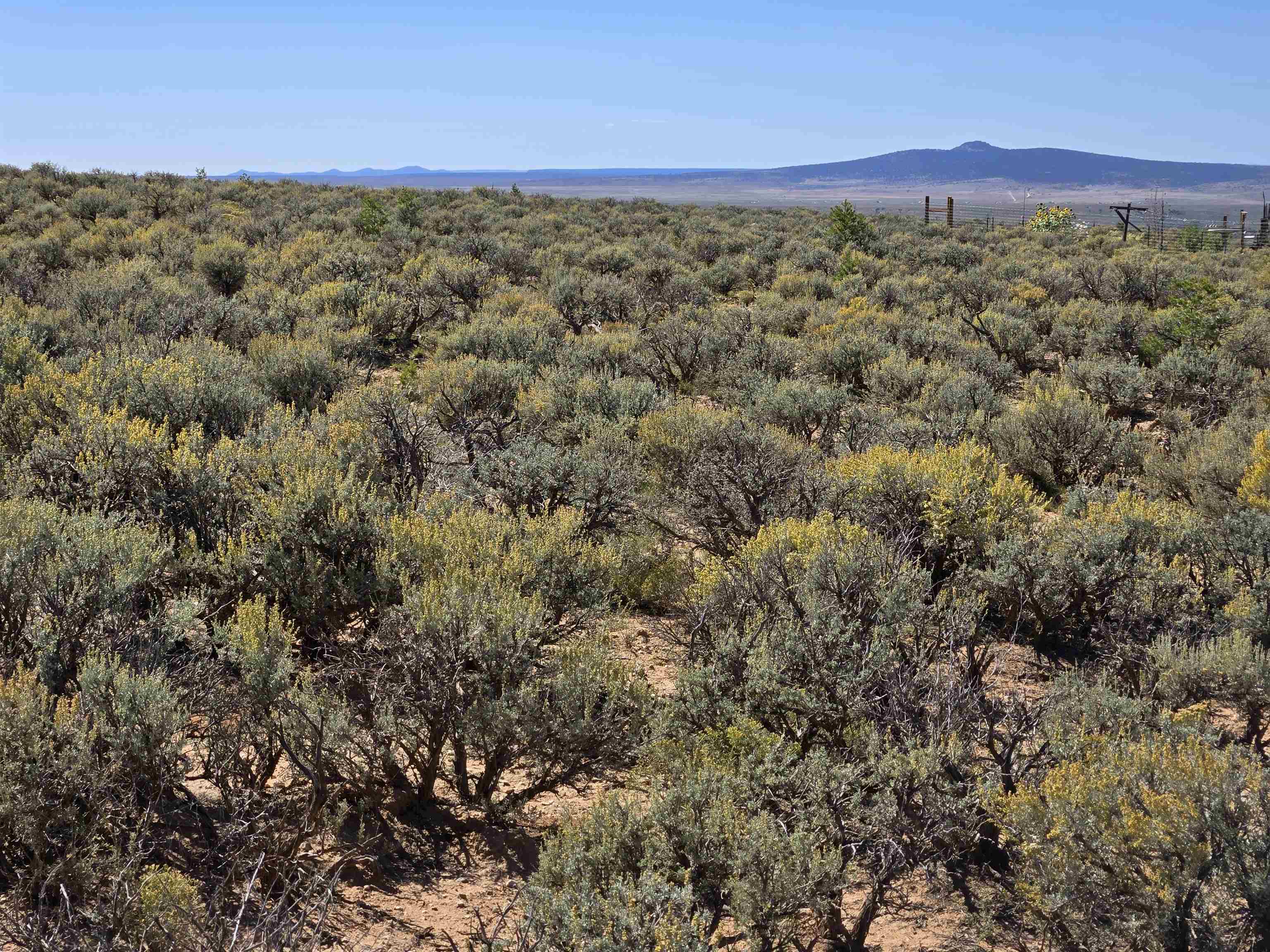 Tract 1 C Mesa Sea Road, Arroyo Hondo, New Mexico image 5