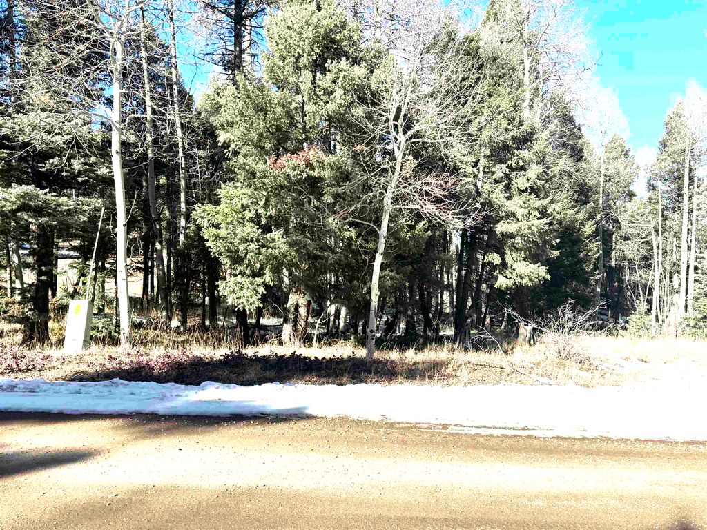Photo of Lot 363 Vail Loop, Angel Fire, NM 87710 (MLS # 114387)