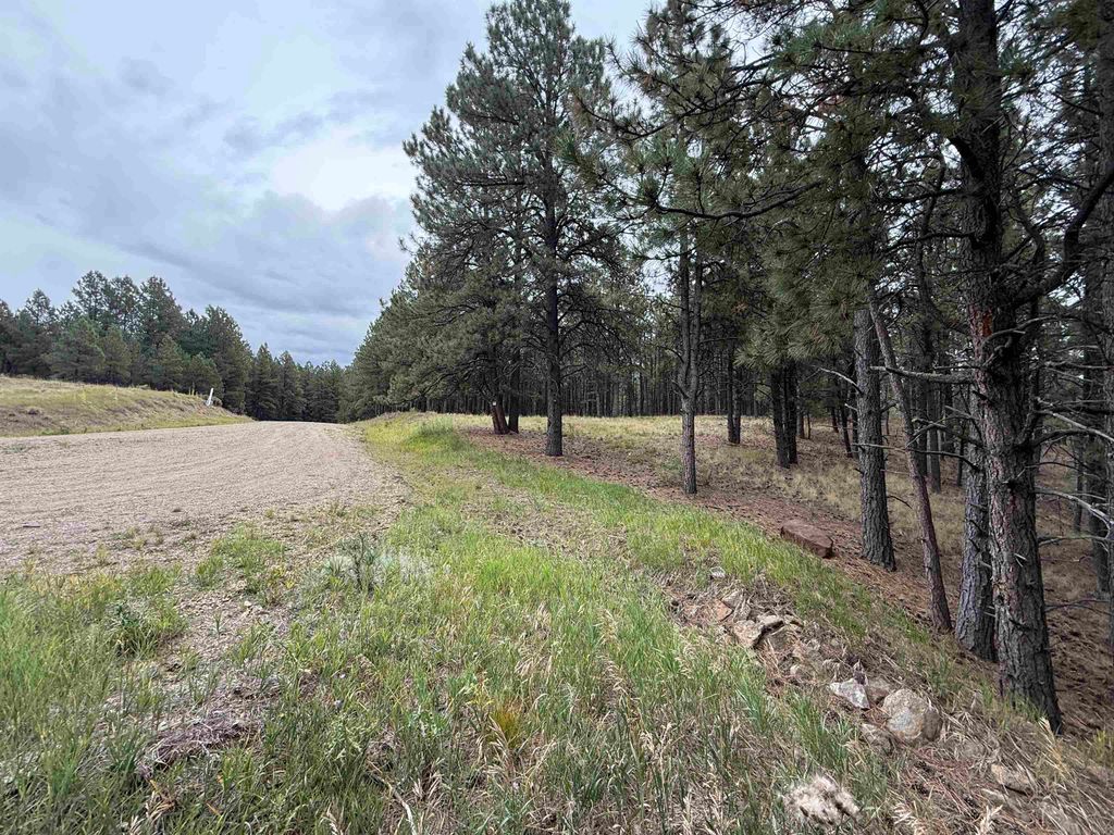 Photo of Lot 7 Valley Rd, Angel Fire, NM 87710 (MLS # 114047)
