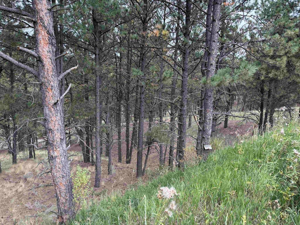 Photo of Lot 7 Valley Rd, Angel Fire, NM 87710 (MLS # 114047)