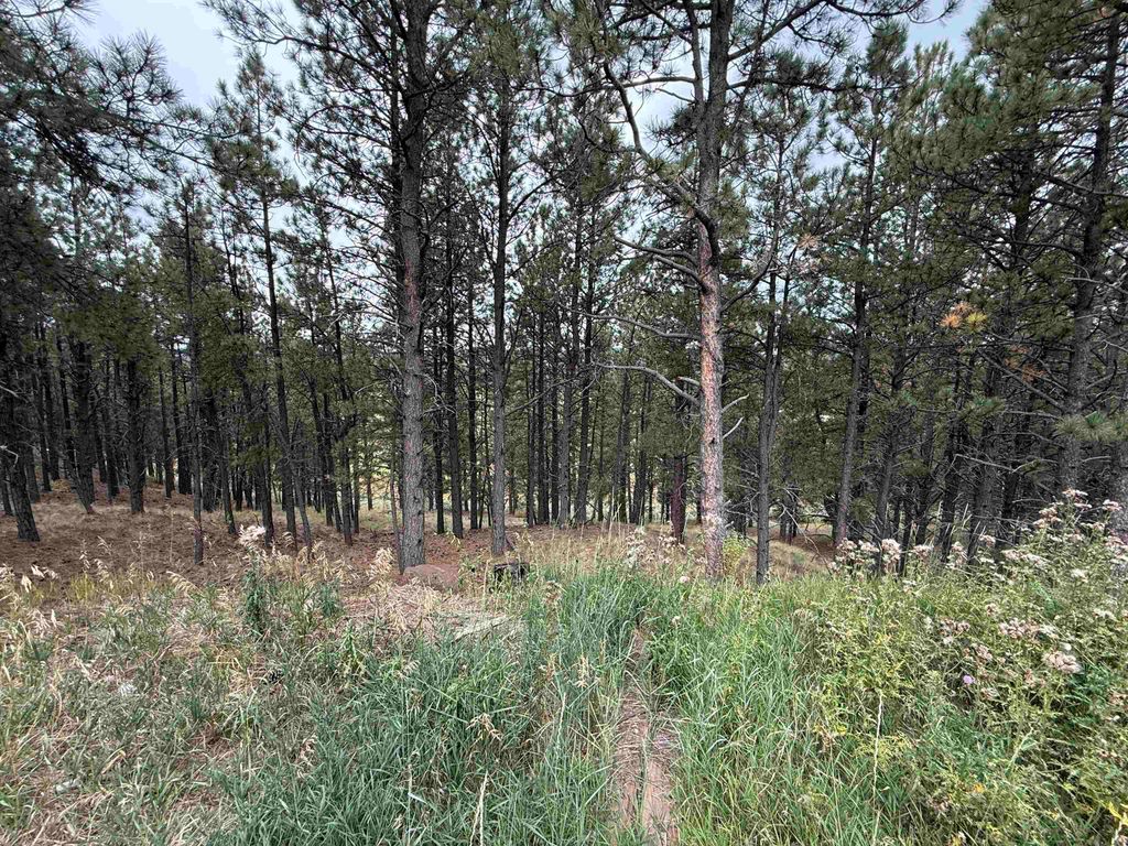 Photo of Lot 7 Valley Rd, Angel Fire, NM 87710 (MLS # 114047)