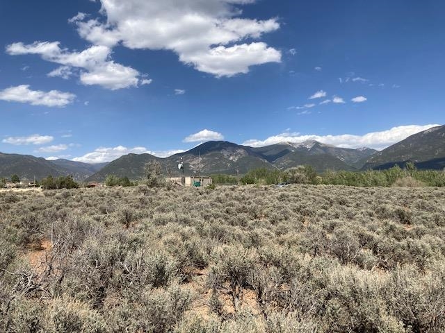 On Sol Grande, Arroyo Seco, New Mexico image 9