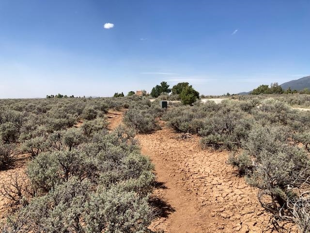 On Sol Grande, Arroyo Seco, New Mexico image 20