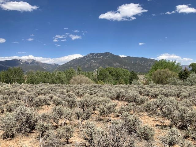 On Sol Grande, Arroyo Seco, New Mexico image 5