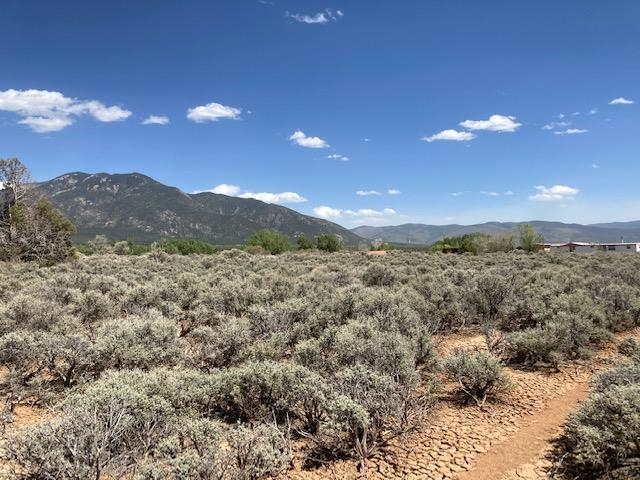 On Sol Grande, Arroyo Seco, New Mexico image 14