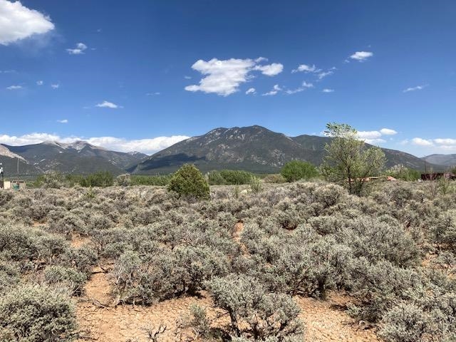 On Sol Grande, Arroyo Seco, New Mexico image 3