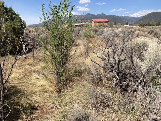 On Sol Grande, Arroyo Seco, New Mexico image 15