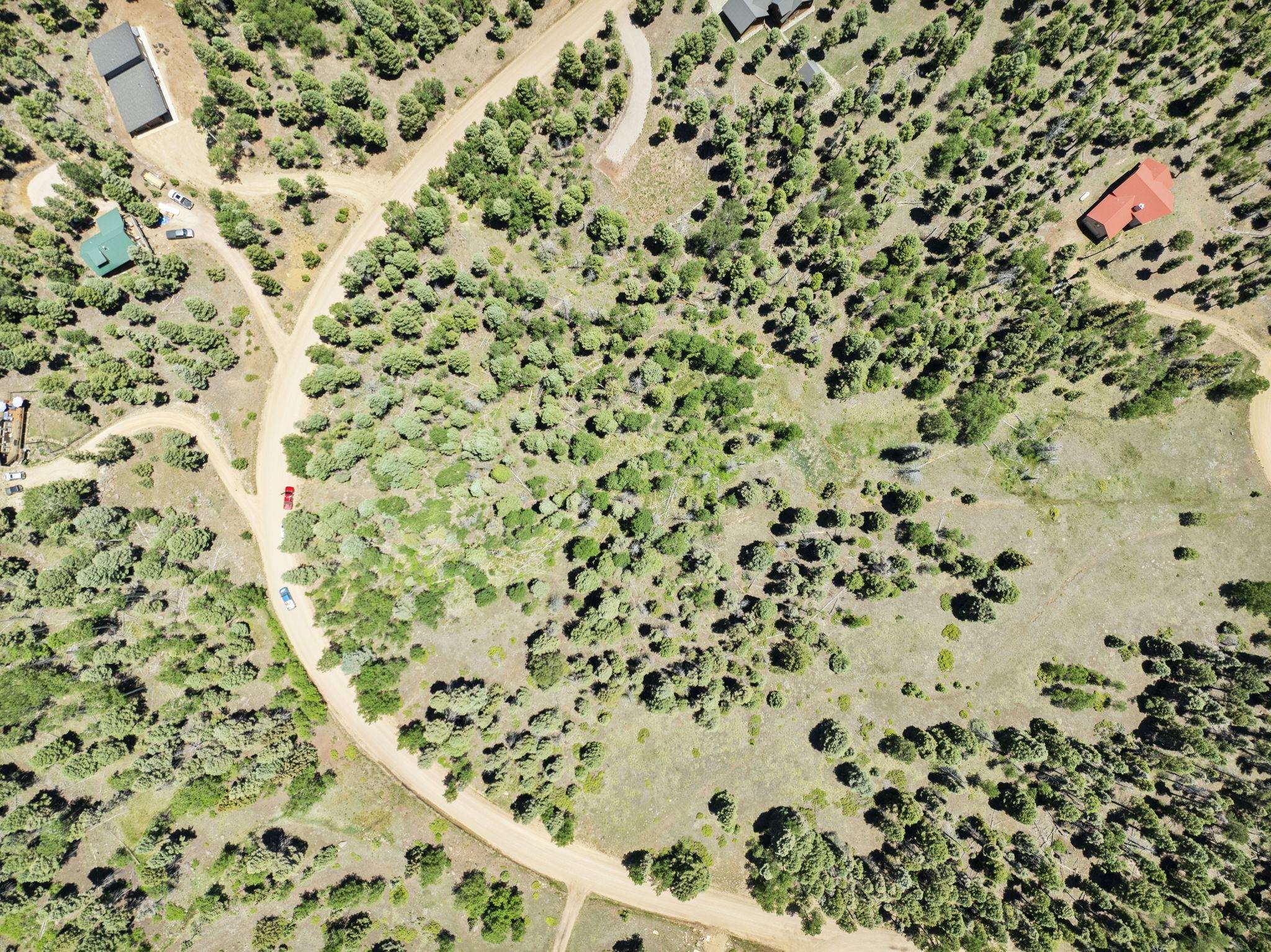 Lot 996 Off Royal Avenue, Angel Fire, New Mexico image 9