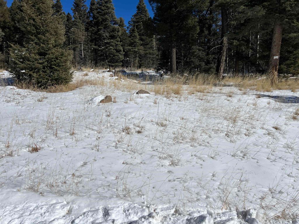 Photo of El Camino Real Lot 1386, Angel Fire, NM 87710 (MLS # 114451)