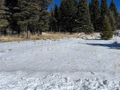 Vacant Land For Sale - El Camino Real Lot 1386<br/> Angel Fire, NM 87710