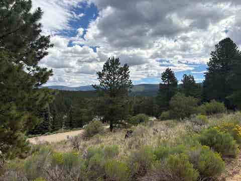 Vacant Land For Sale - LOT 1292 San Mateo Drive<br/> Colfax County, Angel Fire, NM 87710