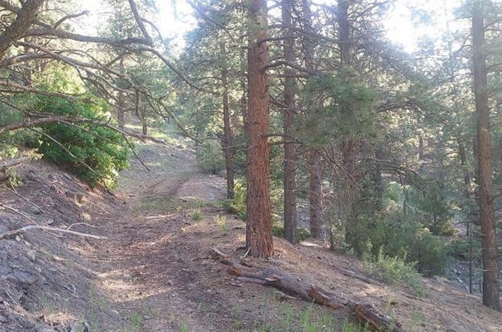 Photo of TBD Hwy 64, Taos, NM 87571 (MLS # 113820)