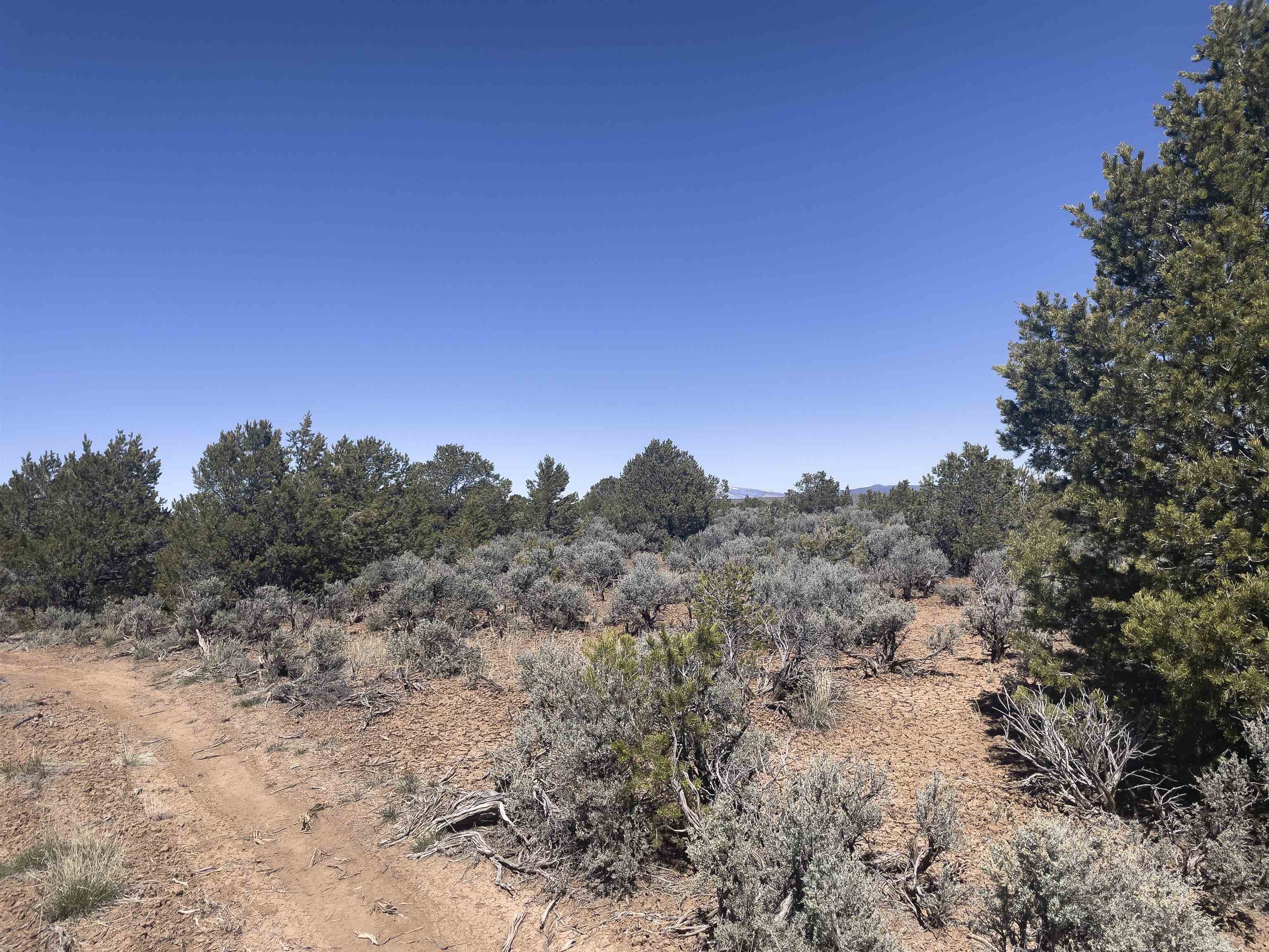 Hwy 285 And Fr 551, Tres Piedras, New Mexico image 14