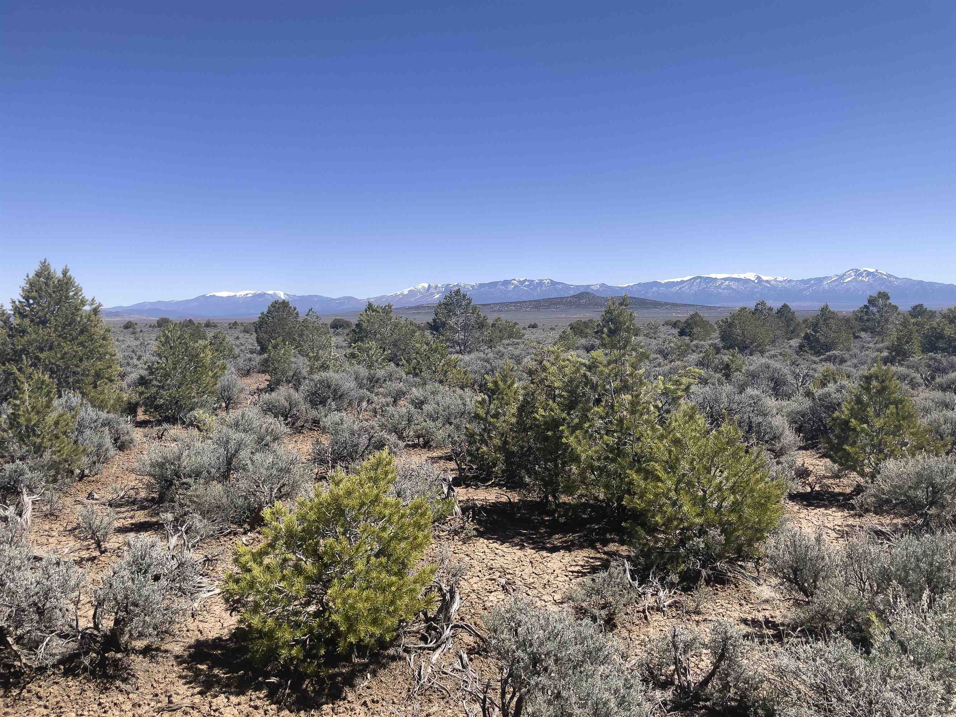 Hwy 285 And Fr 551, Tres Piedras, New Mexico image 16