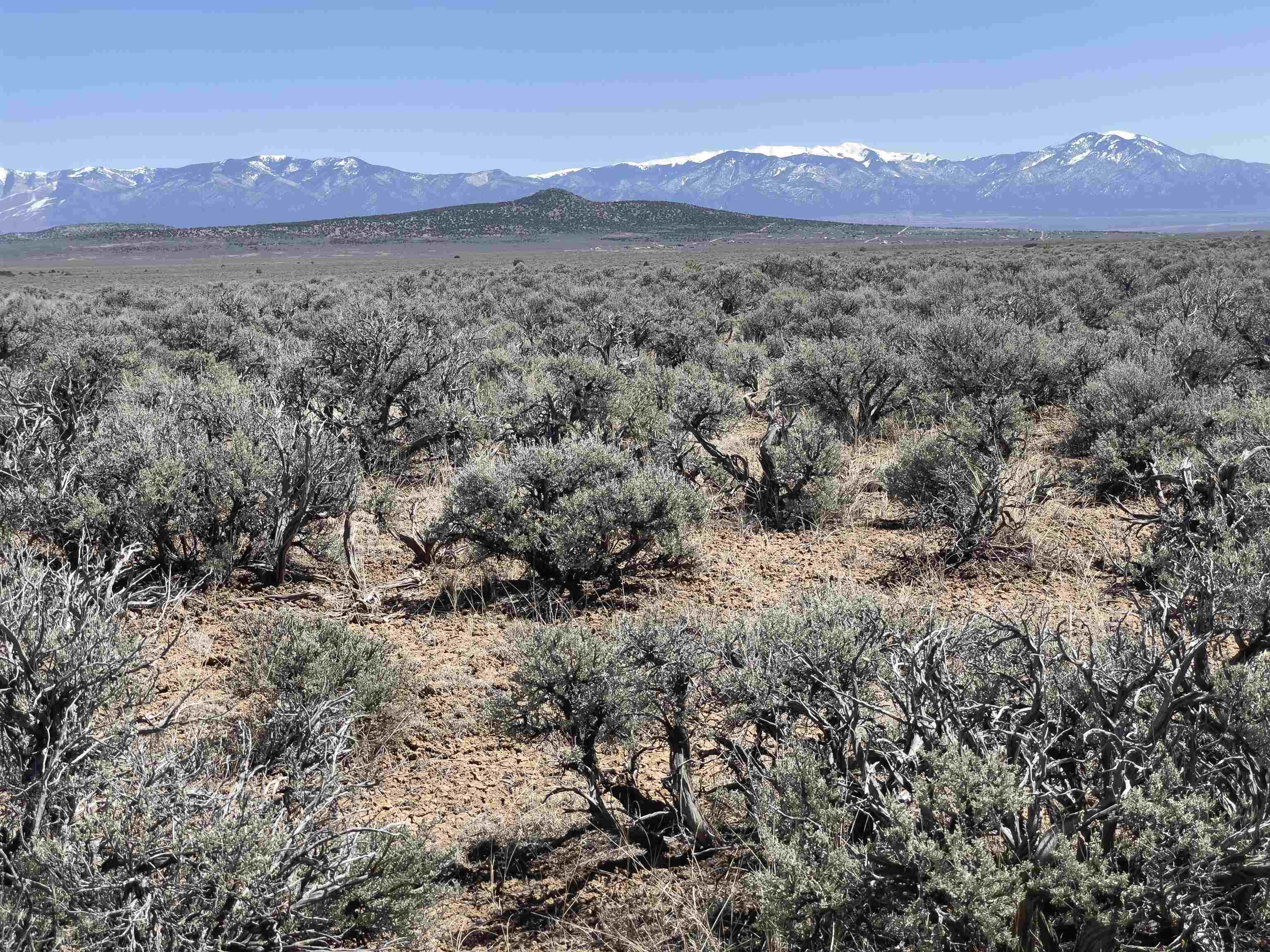 Hwy 285 And Fr 551, Tres Piedras, New Mexico image 9