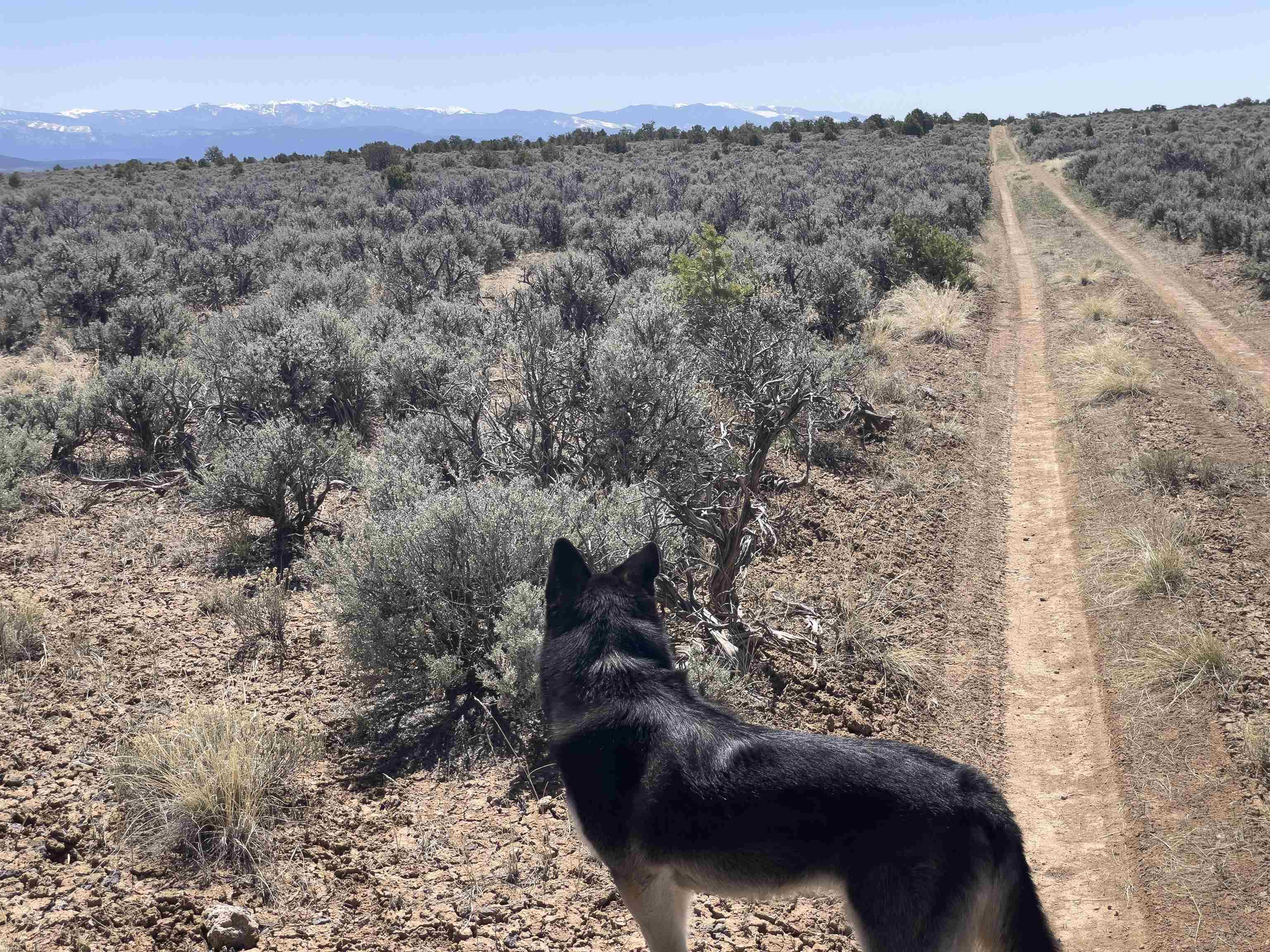 Hwy 285 And Fr 551, Tres Piedras, New Mexico image 11