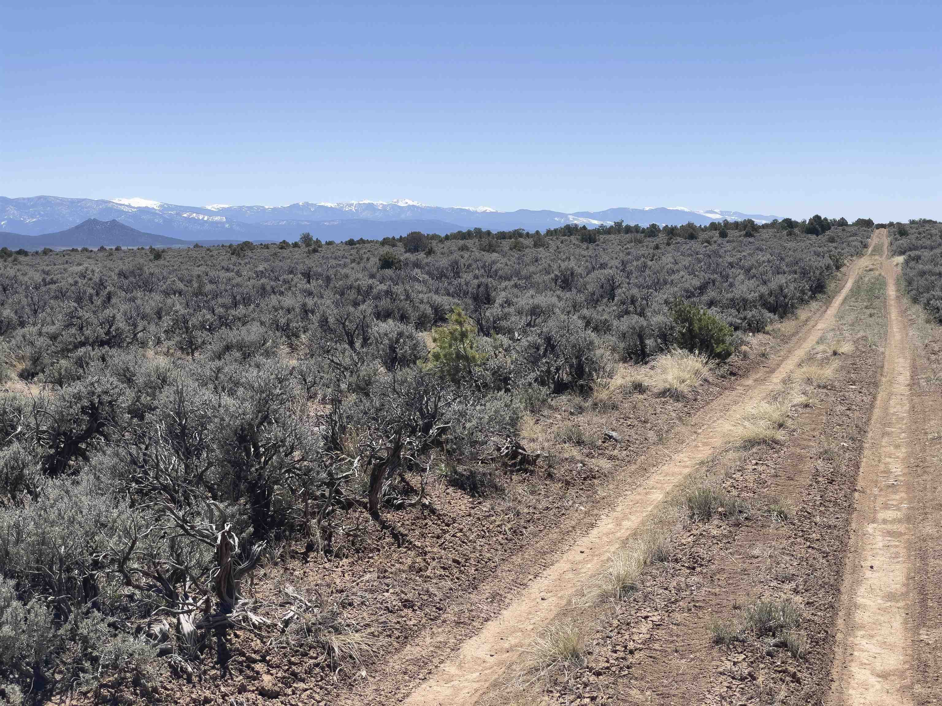 Hwy 285 And Fr 551, Tres Piedras, New Mexico image 12