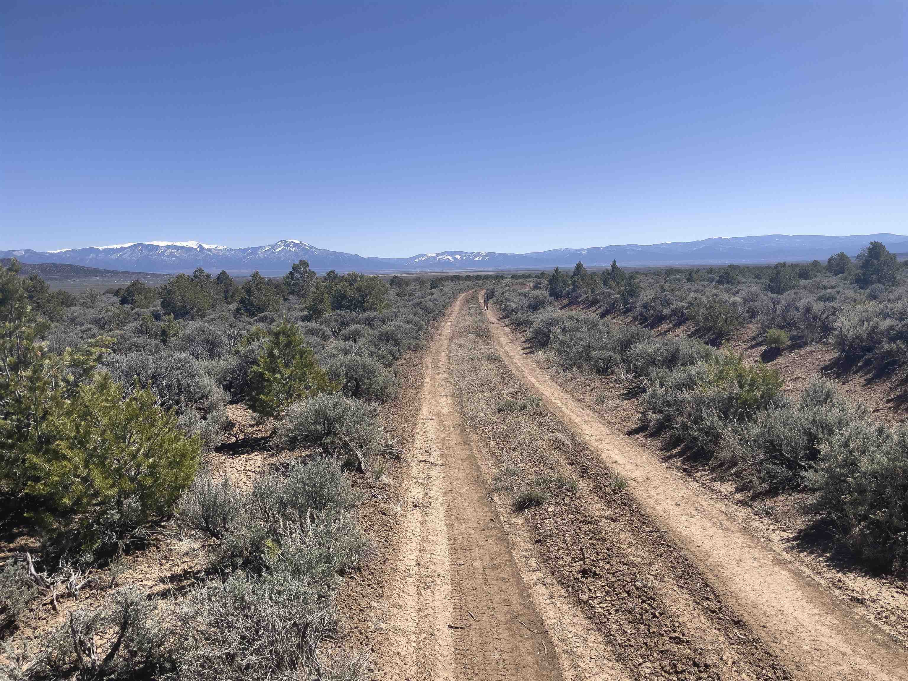 Hwy 285 And Fr 551, Tres Piedras, New Mexico image 17