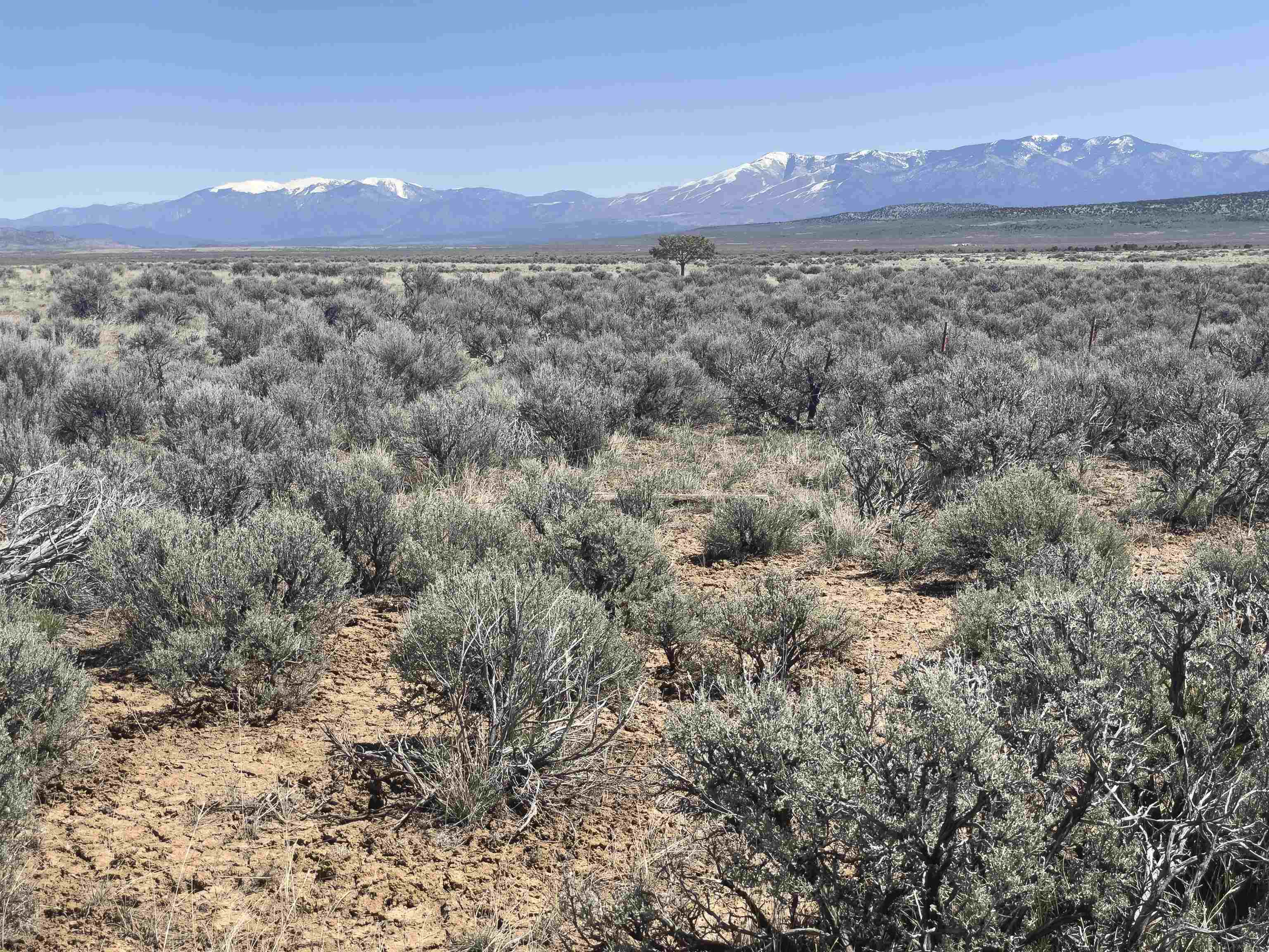 Hwy 285 And Fr 551, Tres Piedras, New Mexico image 3