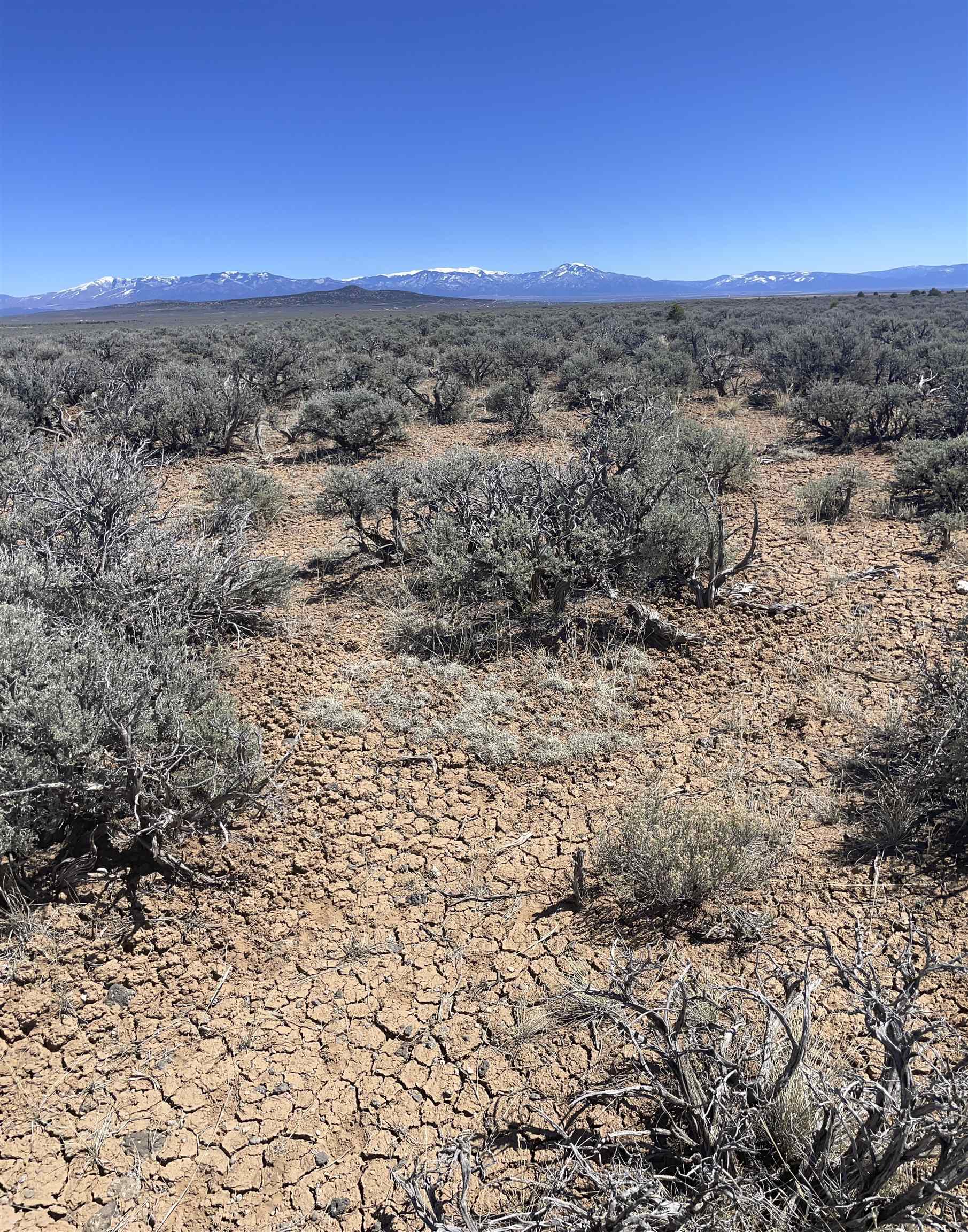 Hwy 285 And Fr 551, Tres Piedras, New Mexico image 8