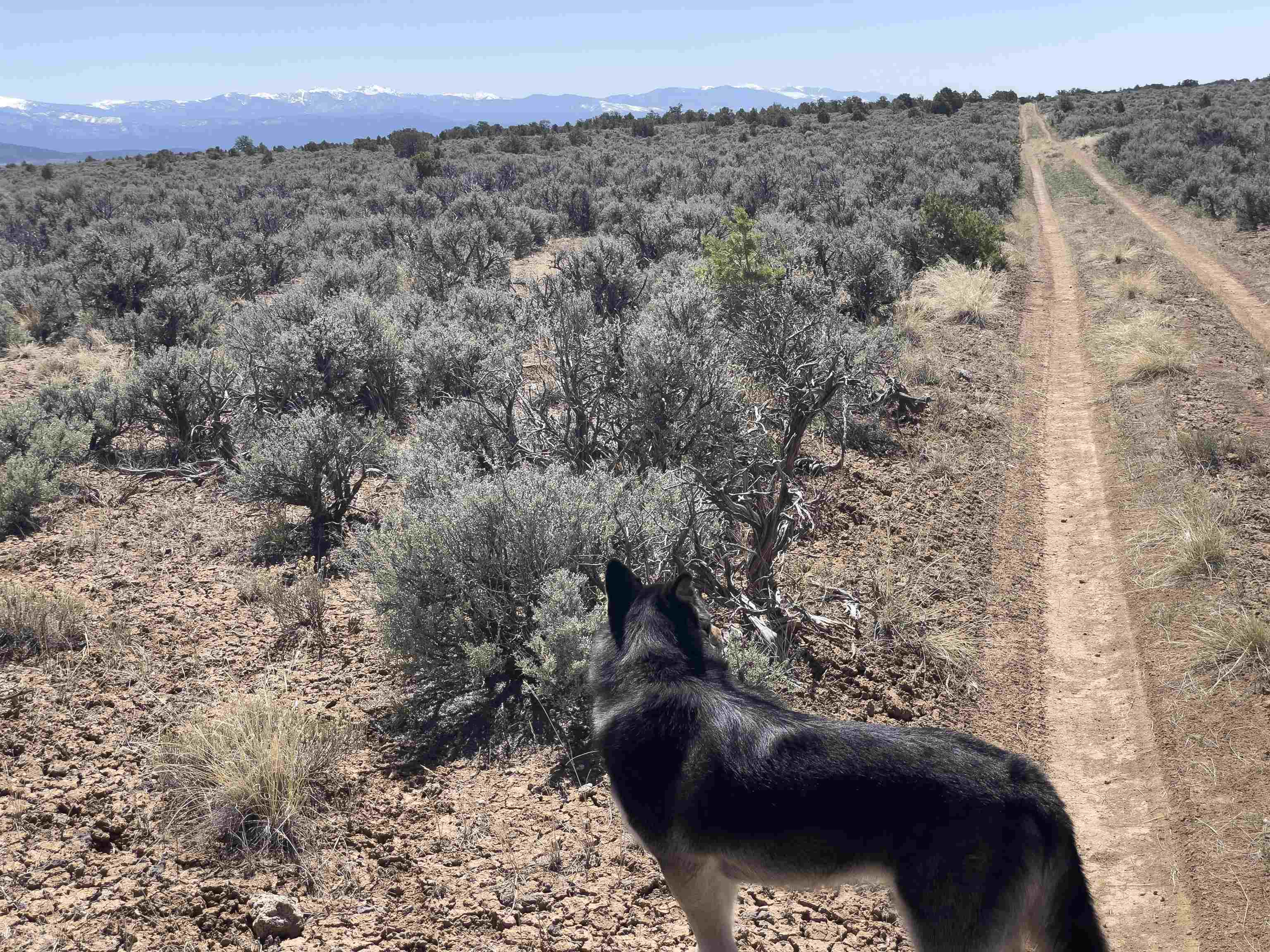 Hwy 285 And Fr 551, Tres Piedras, New Mexico image 10