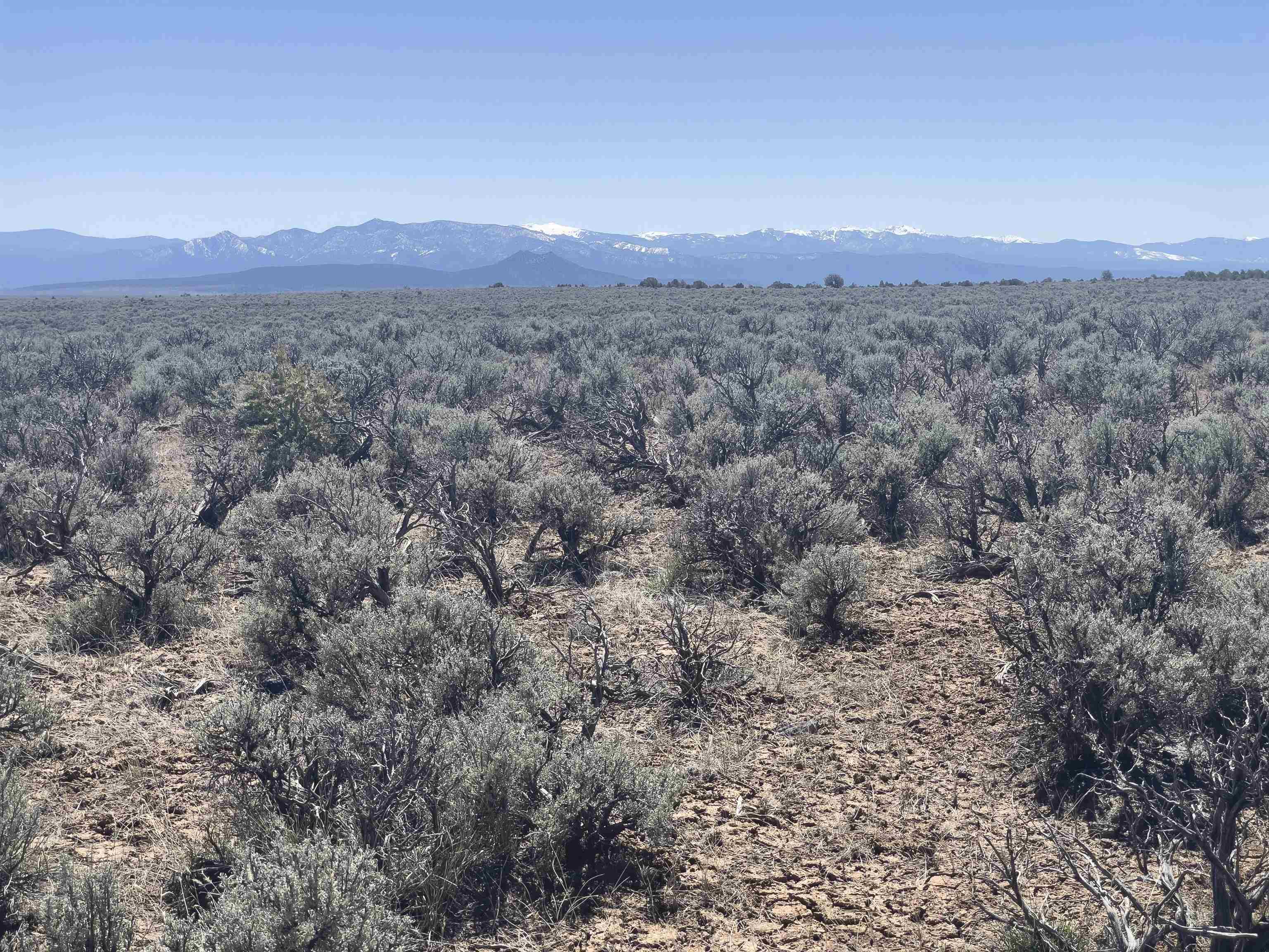 Hwy 285 And Fr 551, Tres Piedras, New Mexico image 6