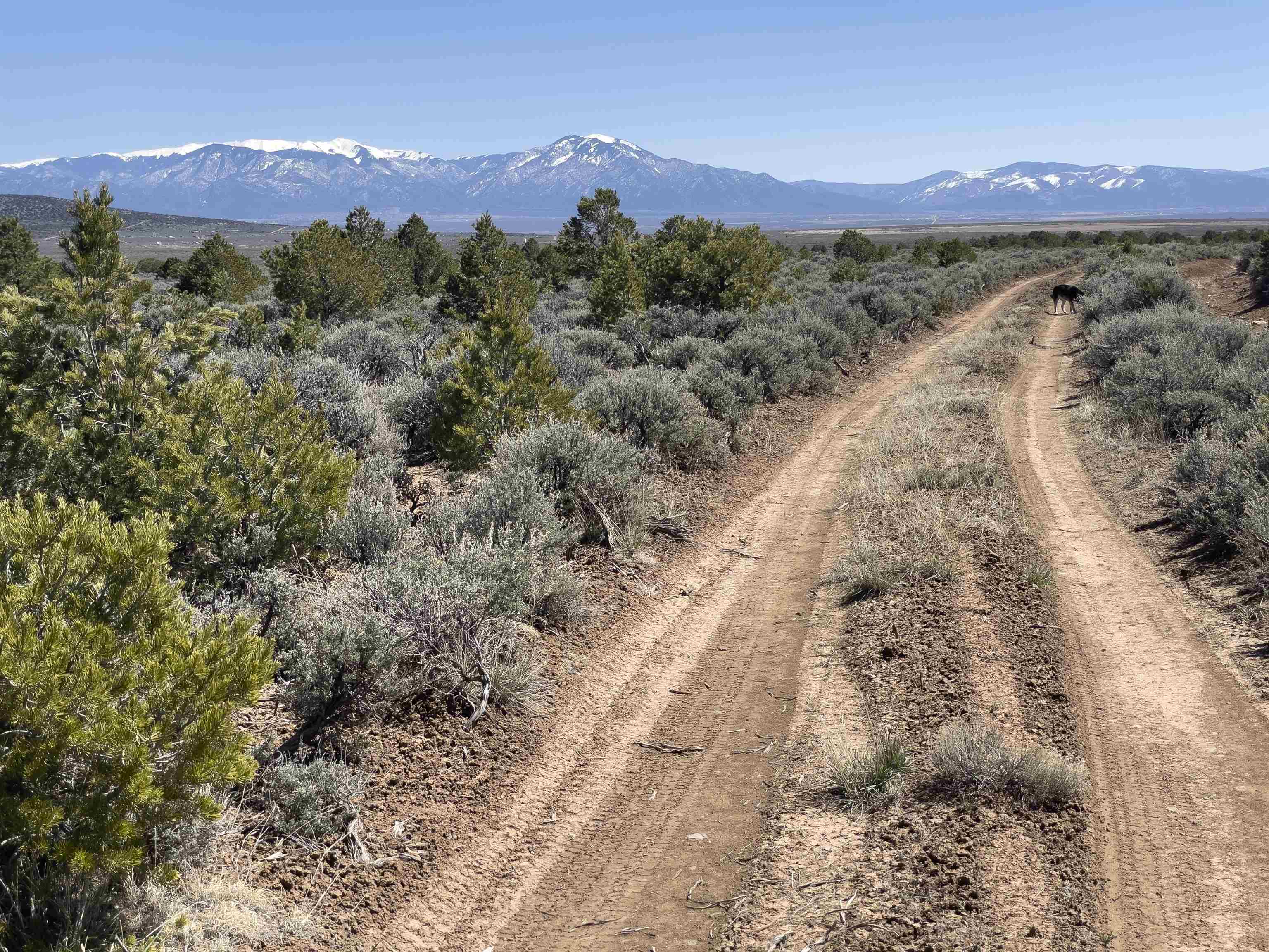 Hwy 285 And Fr 551, Tres Piedras, New Mexico image 13