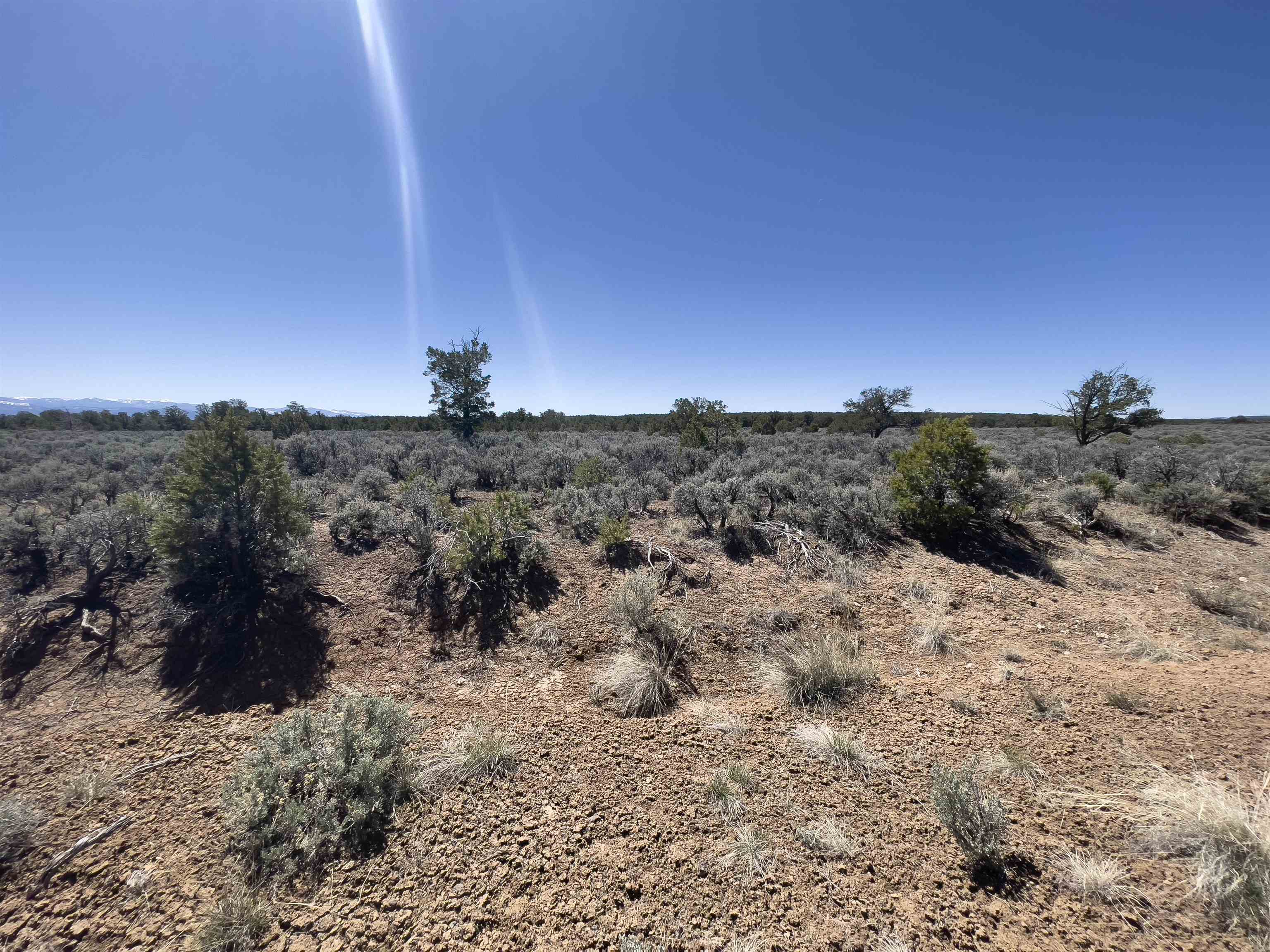 Hwy 285 And Fr 551, Tres Piedras, New Mexico image 15