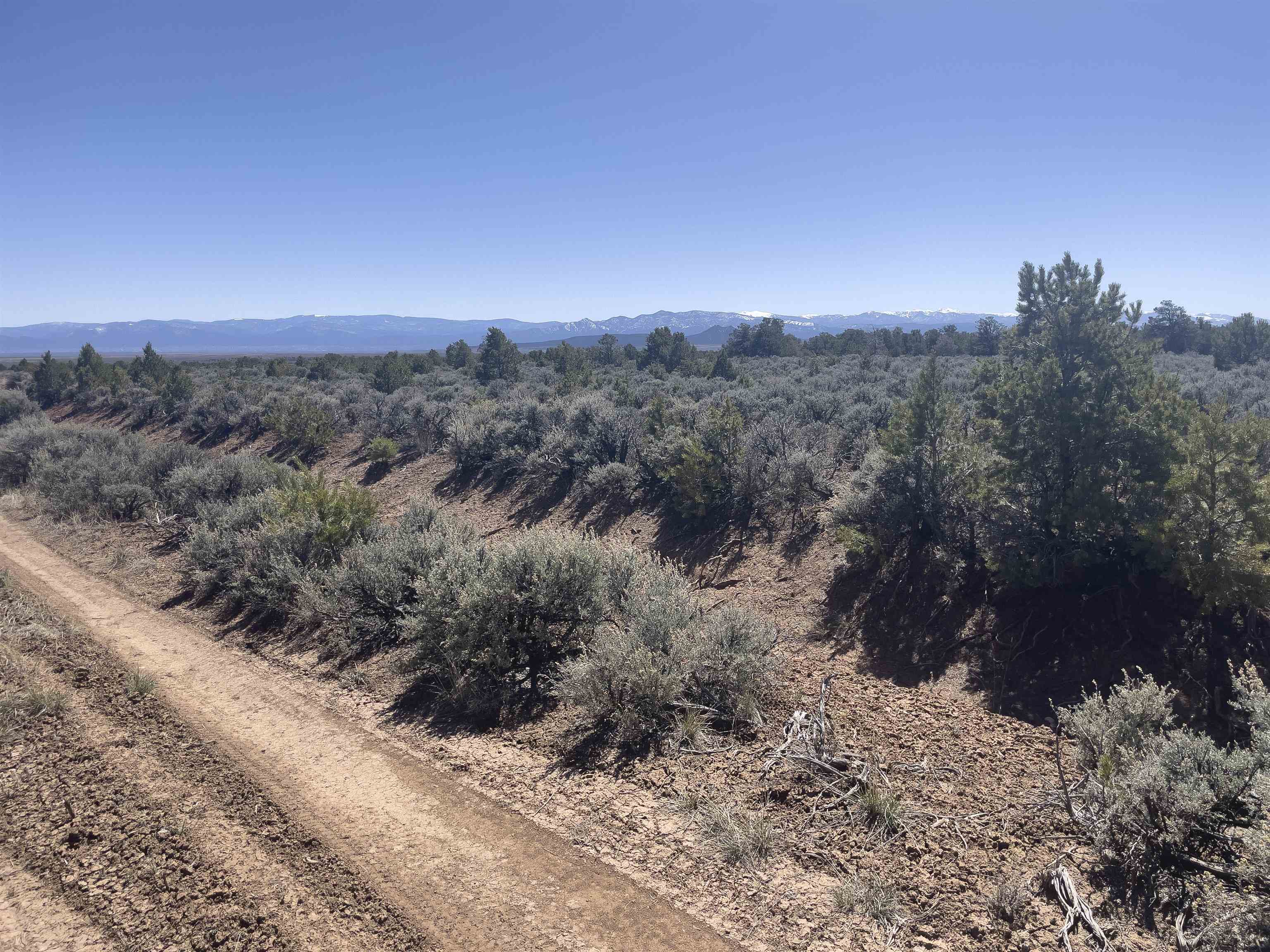 Hwy 285 And Fr 551, Tres Piedras, New Mexico image 18